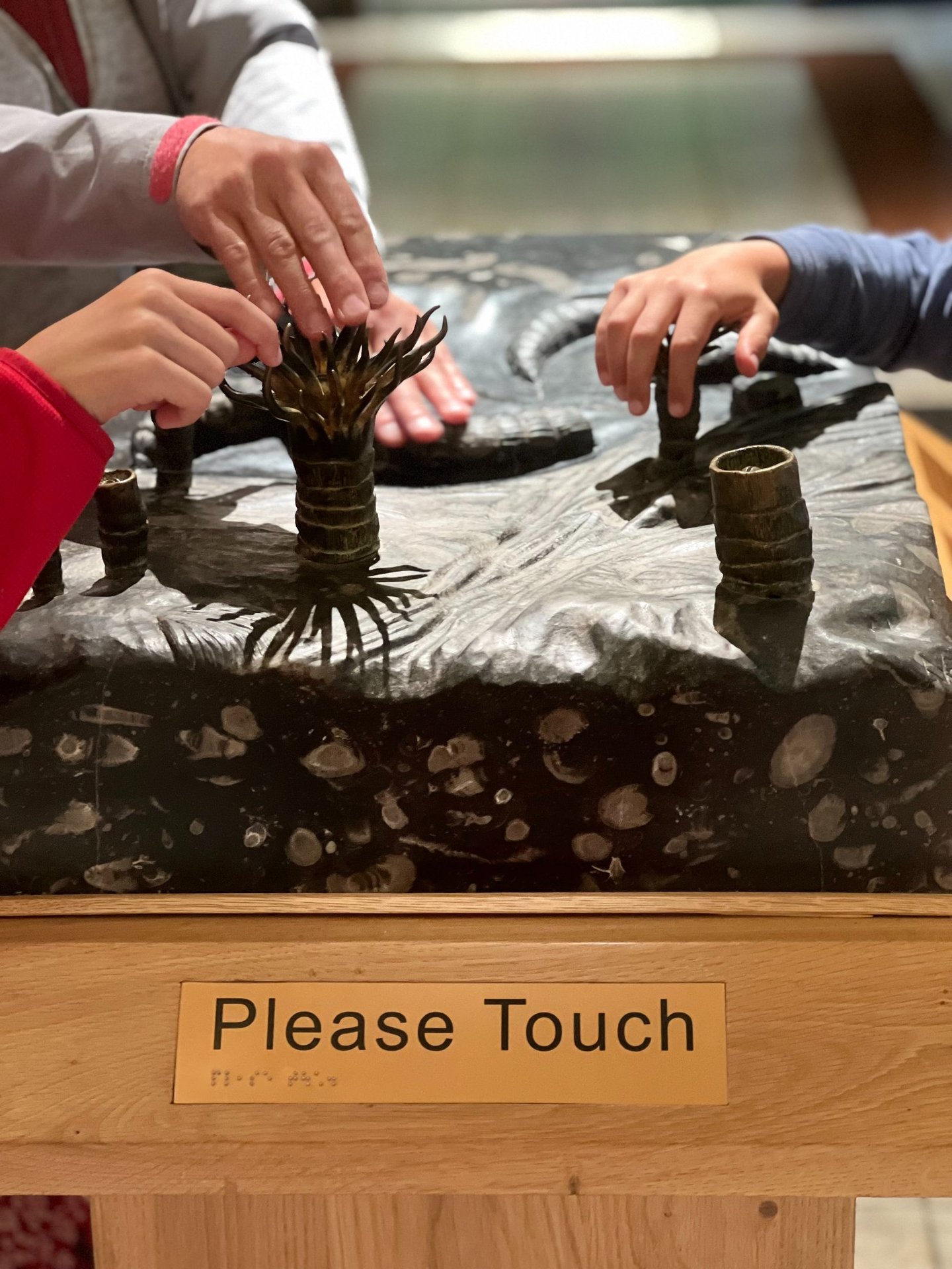 Fot. Justyna Józefowicz, Newcastle