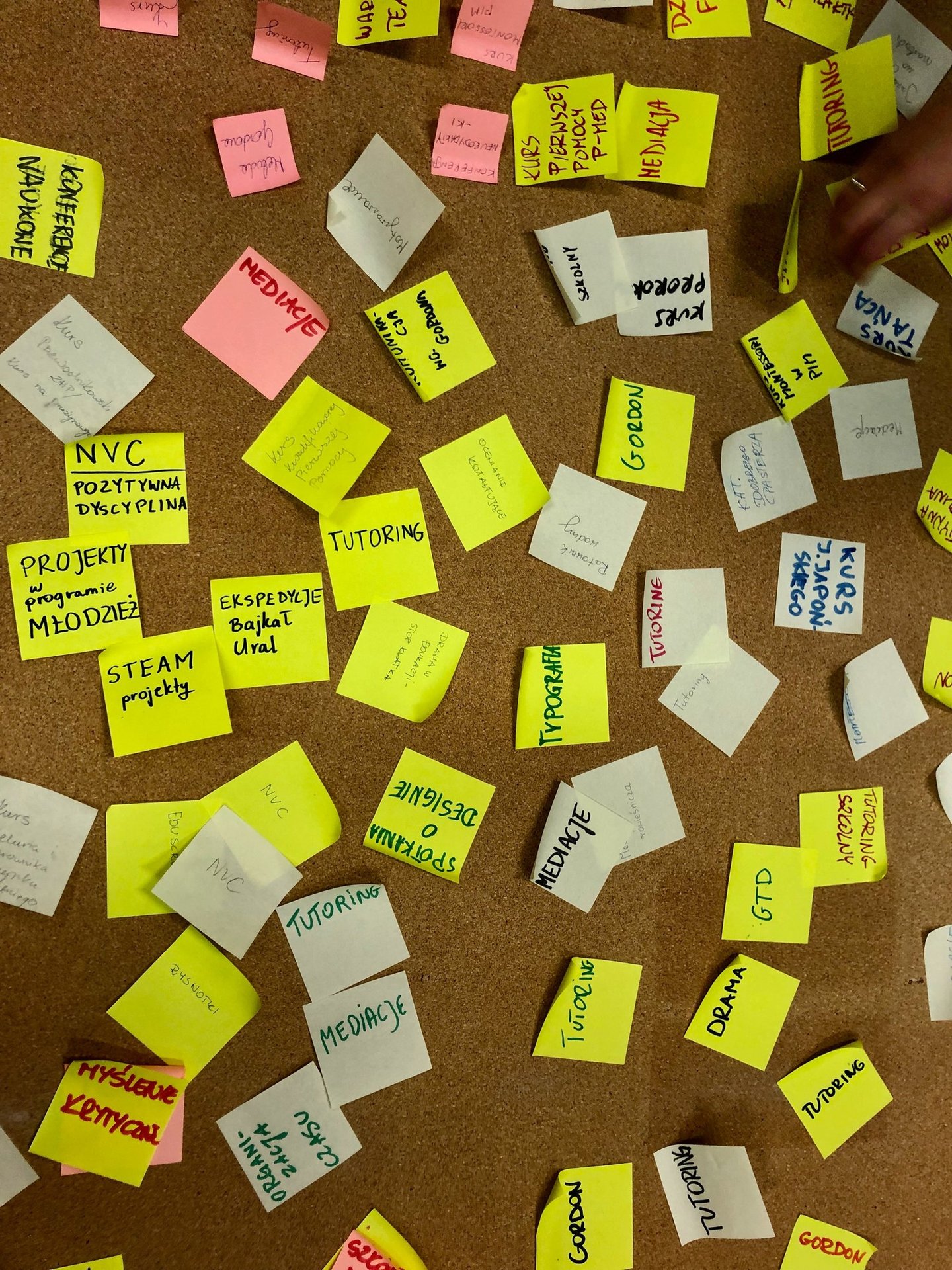 Fot. Justyna Józefowicz