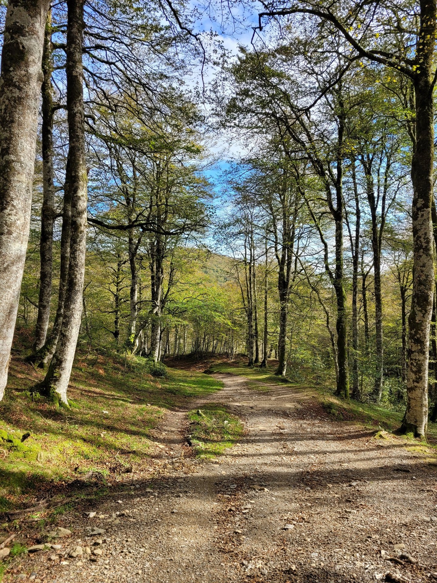 Métaphore chemin de thérapie