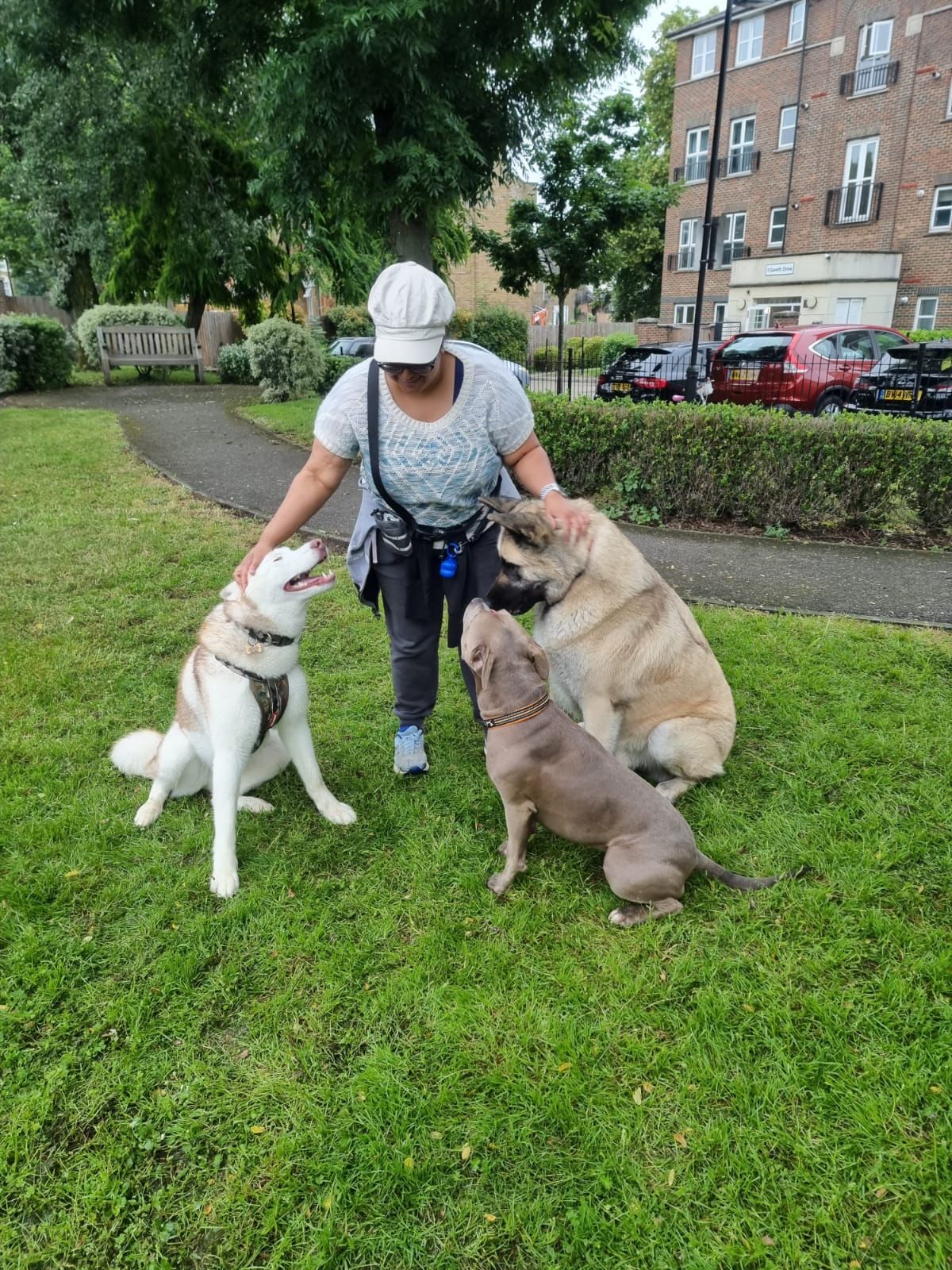 Local dog trainer with three well-behaved and controlled dogs in N9, Edmonton