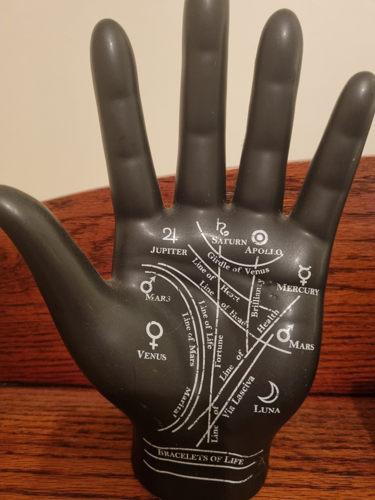 ornamental hand with the lines and mounts printed on it