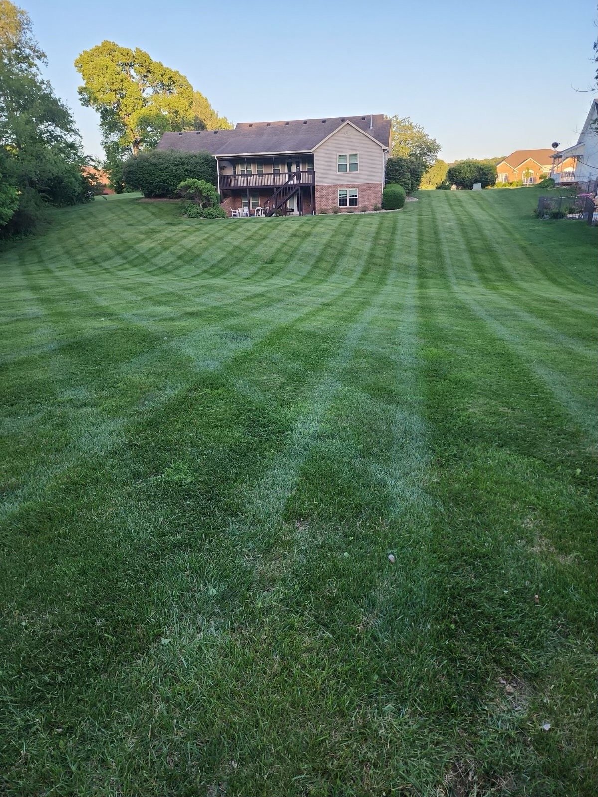 lawn care