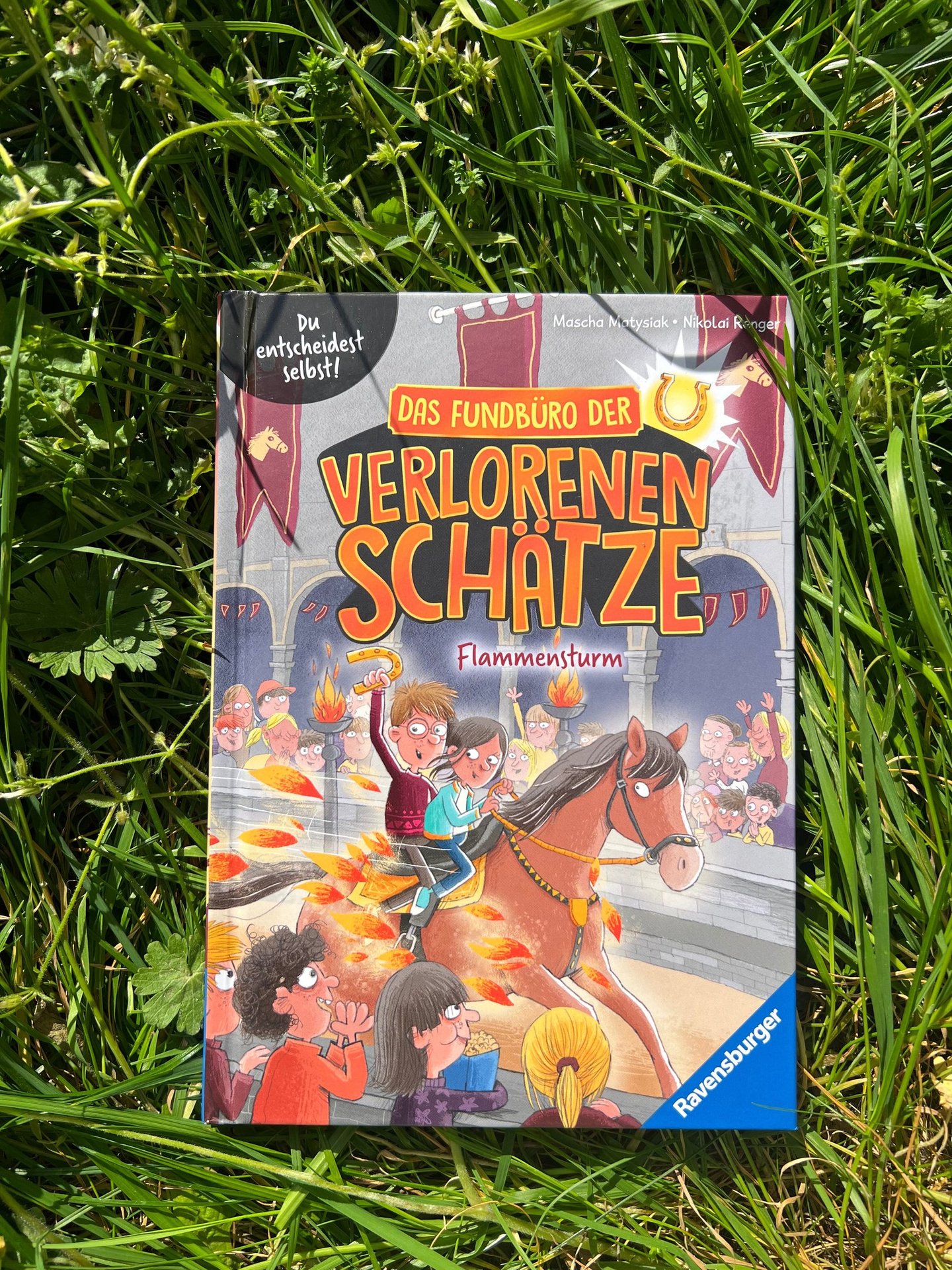 Buch: Das Fundbüro der verlorenen Schätze - Flammensturm