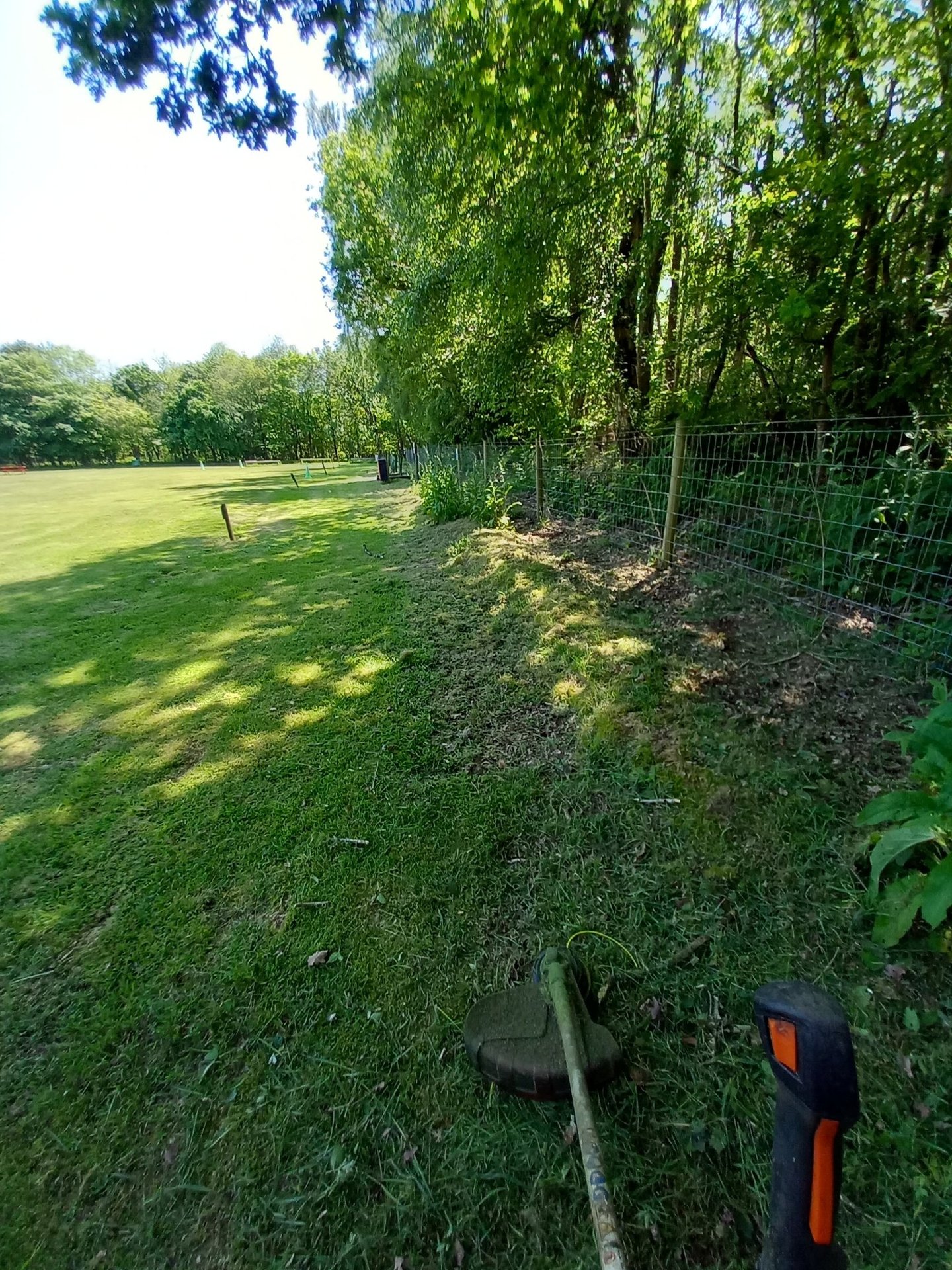 cutting a lawn with a strimmer
