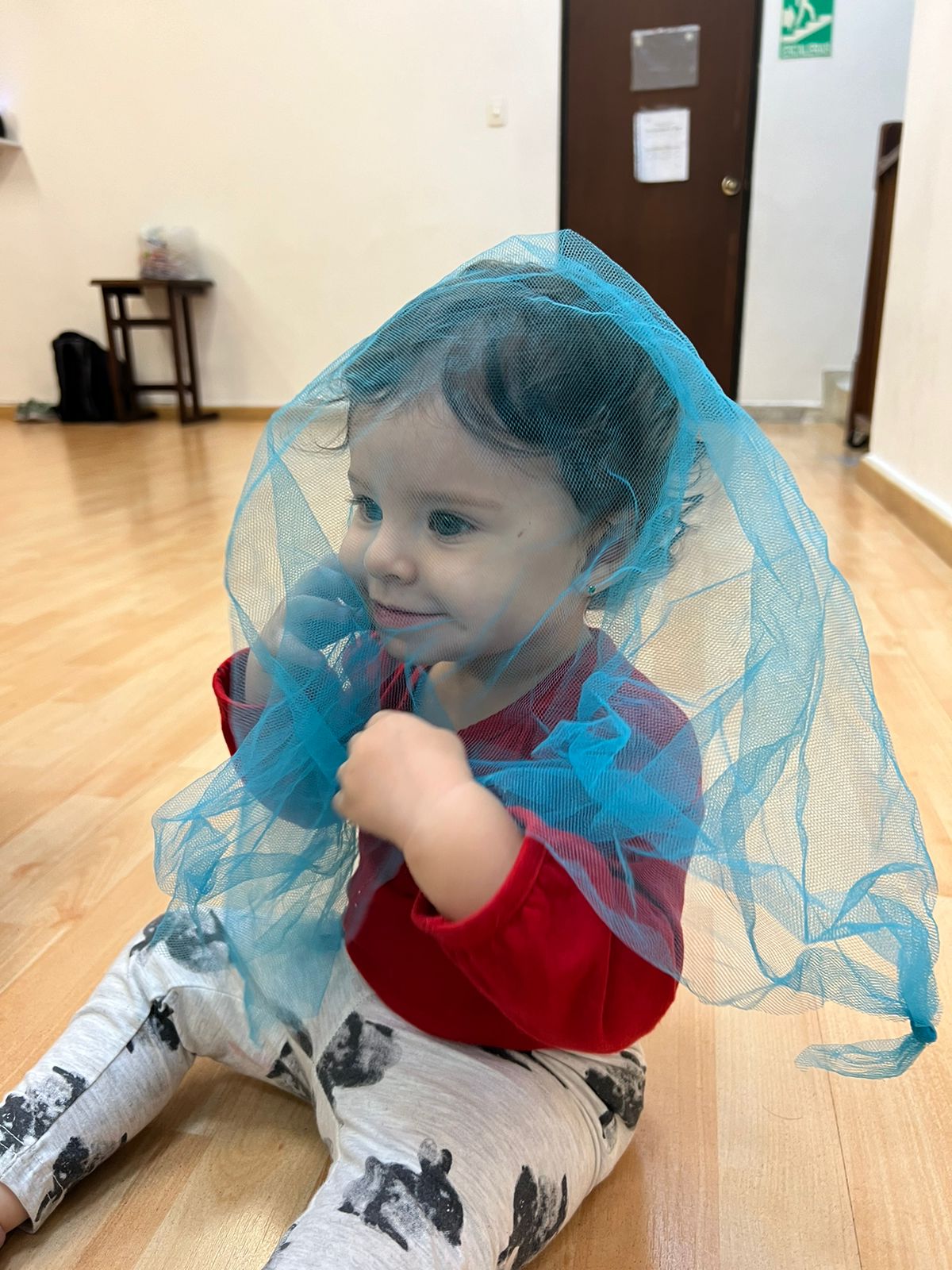 Niña sentada en piso de madera cubierta por una malla azul transparente  en Ukelele Jardín Infantil