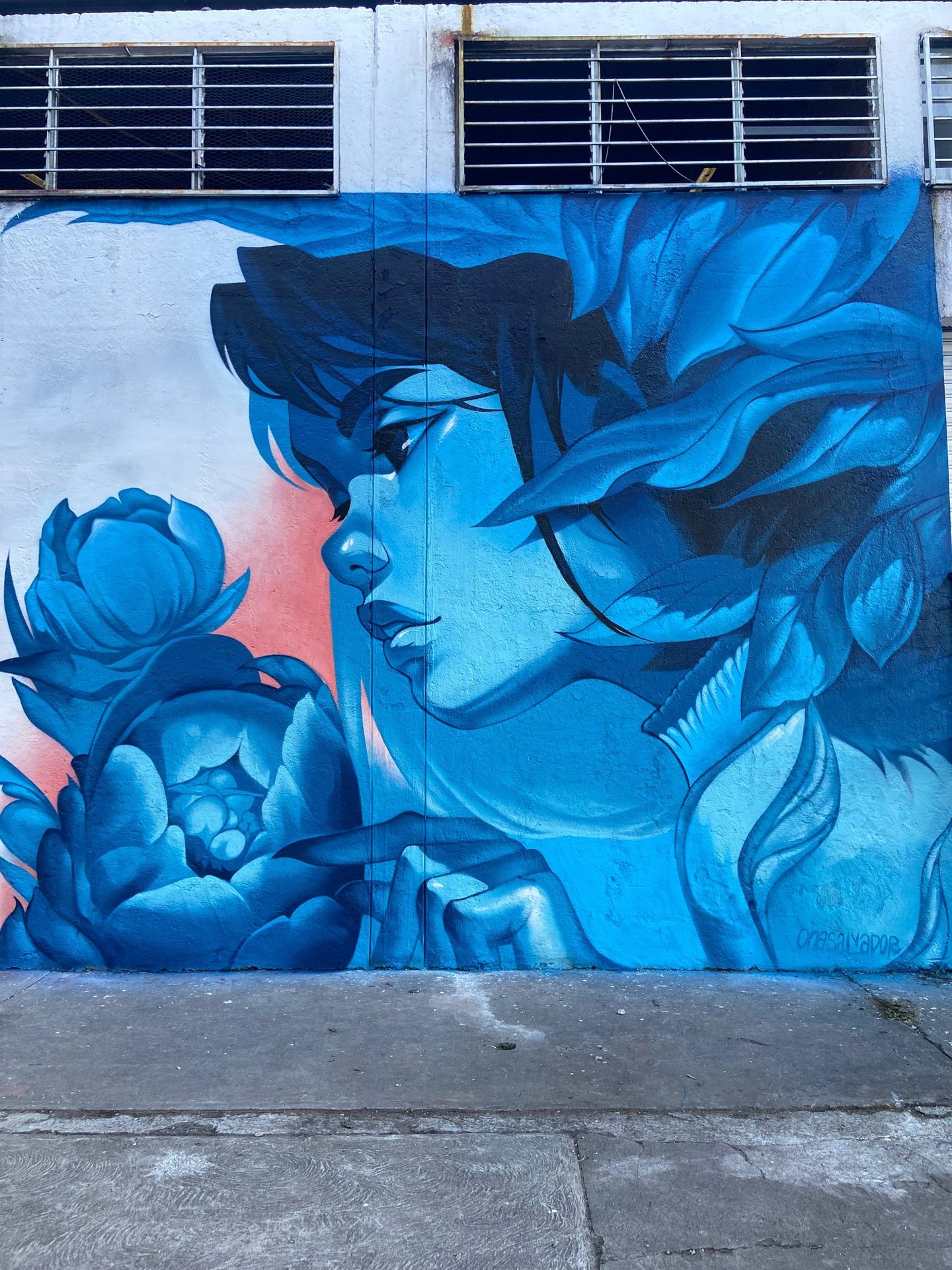 Life’s Flow - Mural en Morelia, festival de street art, arte urbano por Ona Salvador
