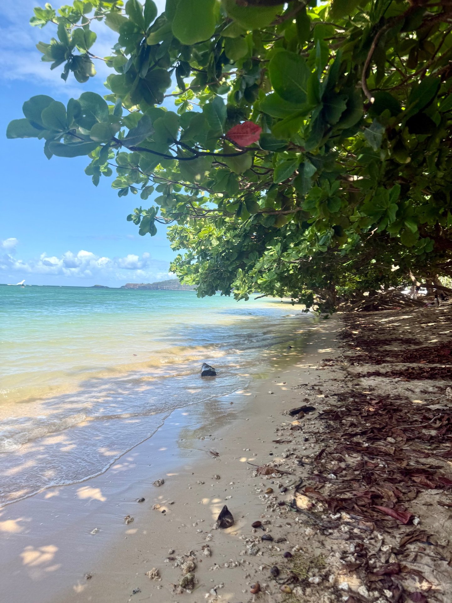 snorkeling Anini beach kauai