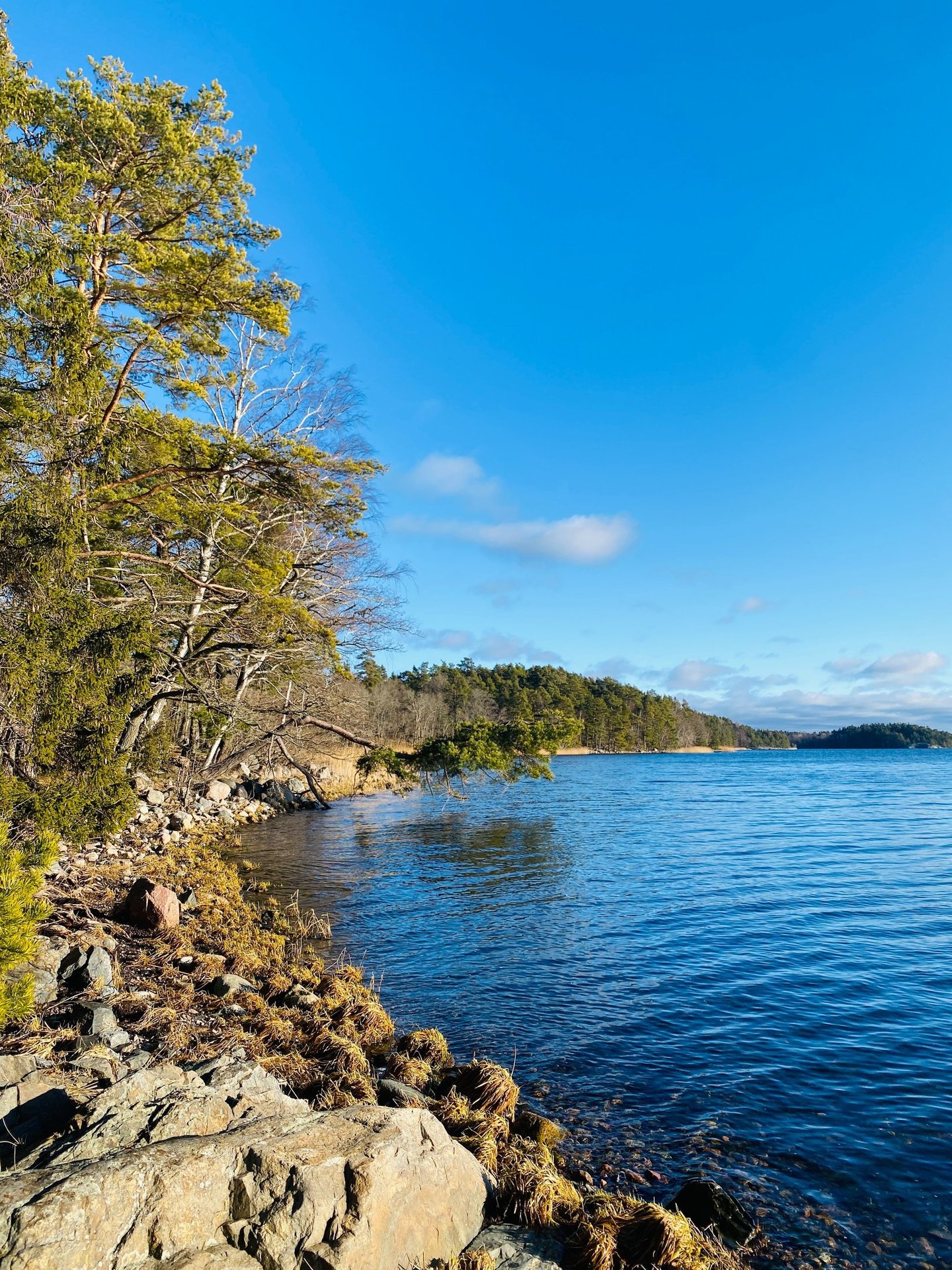 Widok n archipelag sztokholmski z okolic Vaxholm