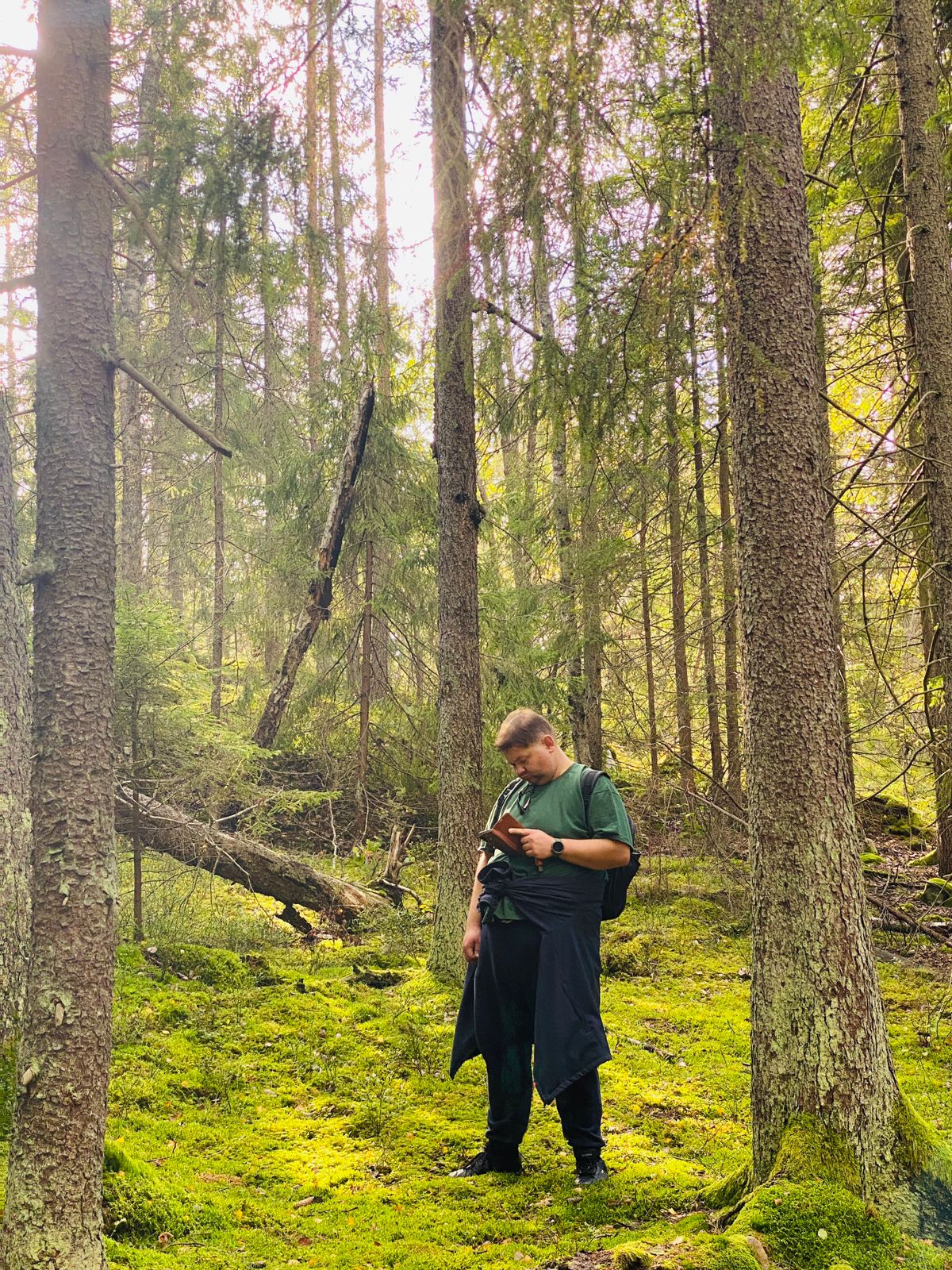 przewodnik Stas w lesie w Szwecji