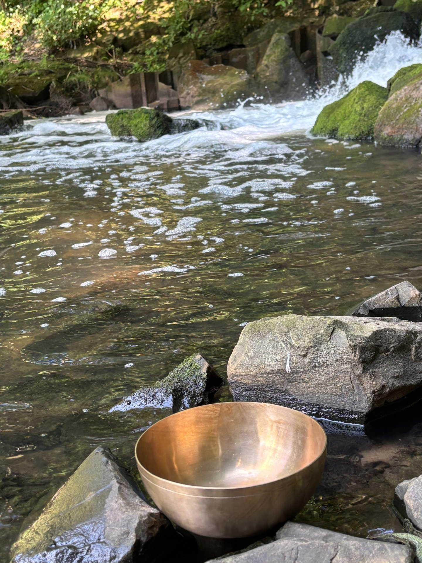 Klangschale steht behutsam am Wasser.