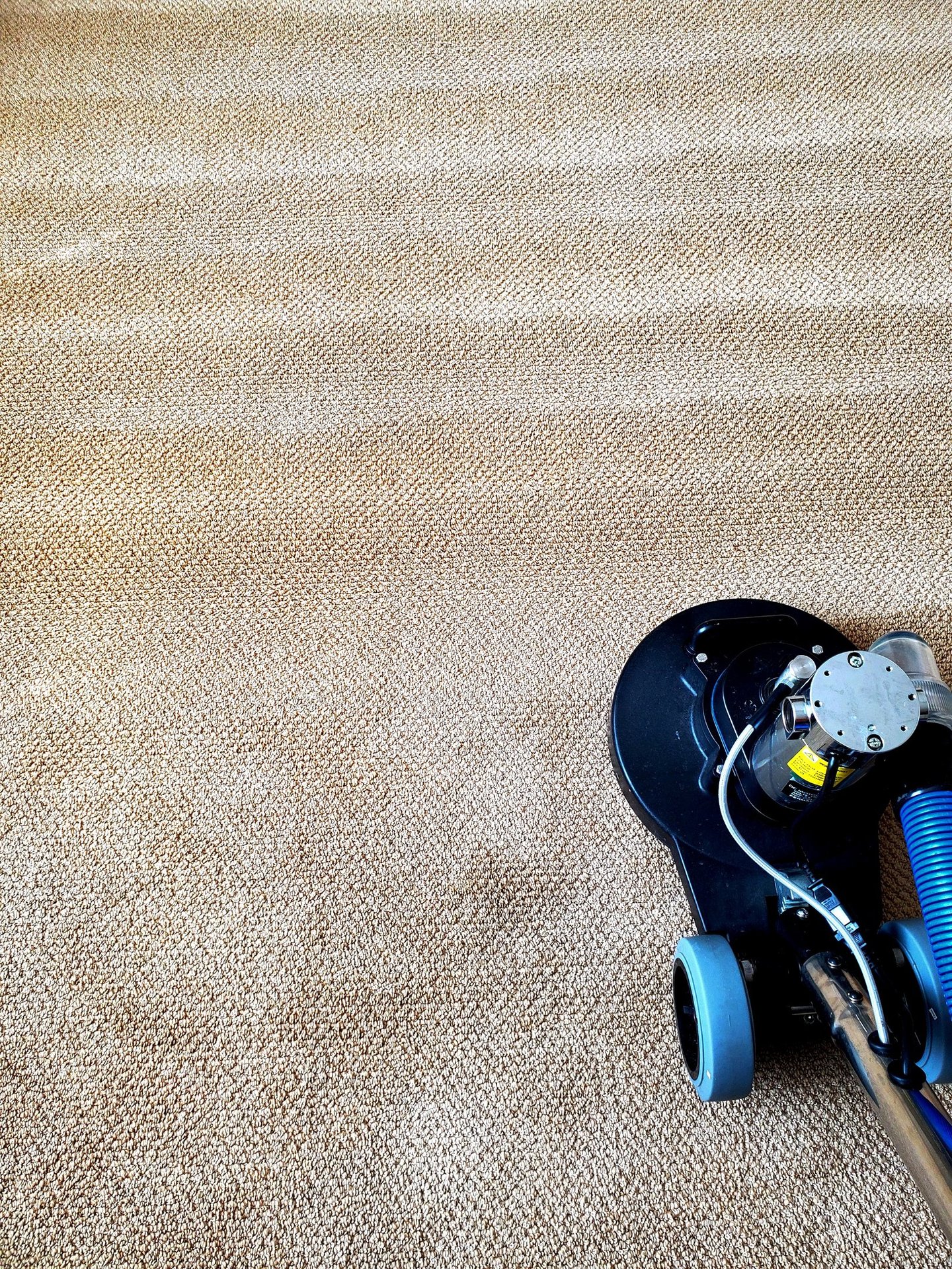 Organic Carpet Cleaning using the Tornado Powerhouse