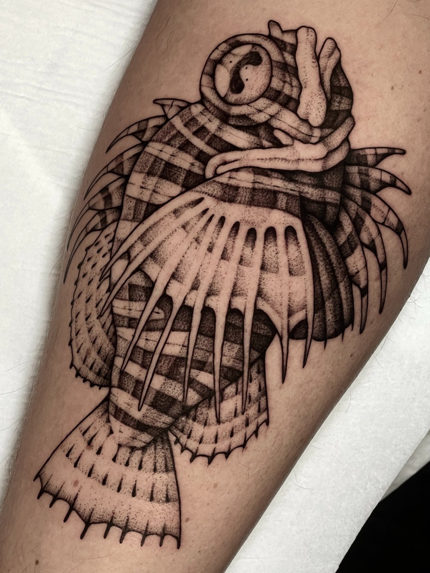 tatouage de rascasse en noir et blanc 