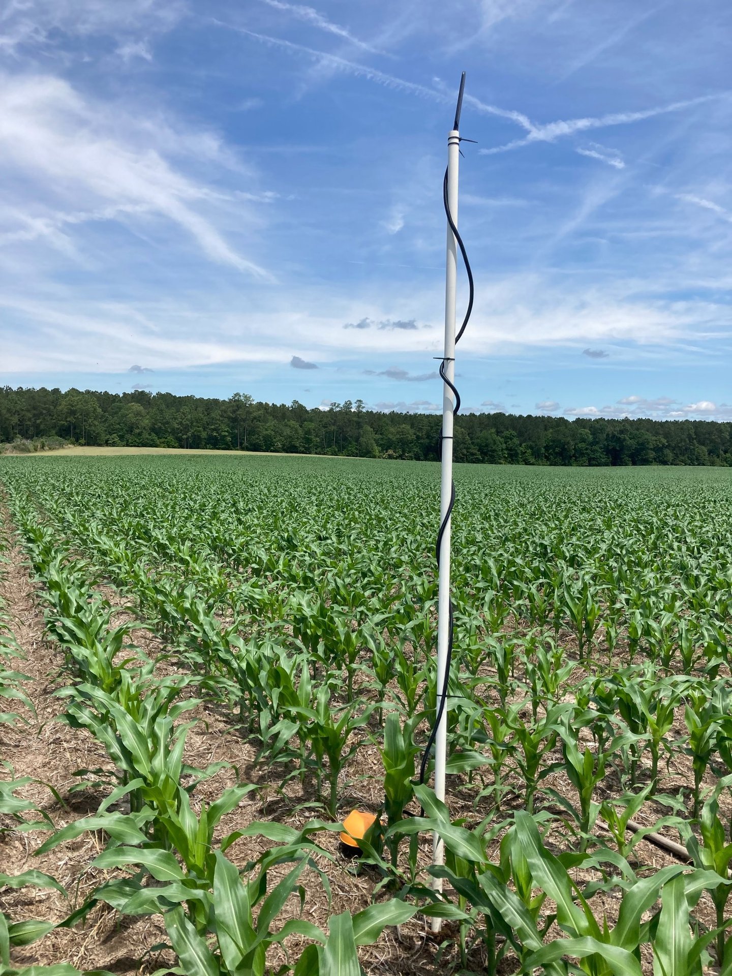 soil moisture sensor