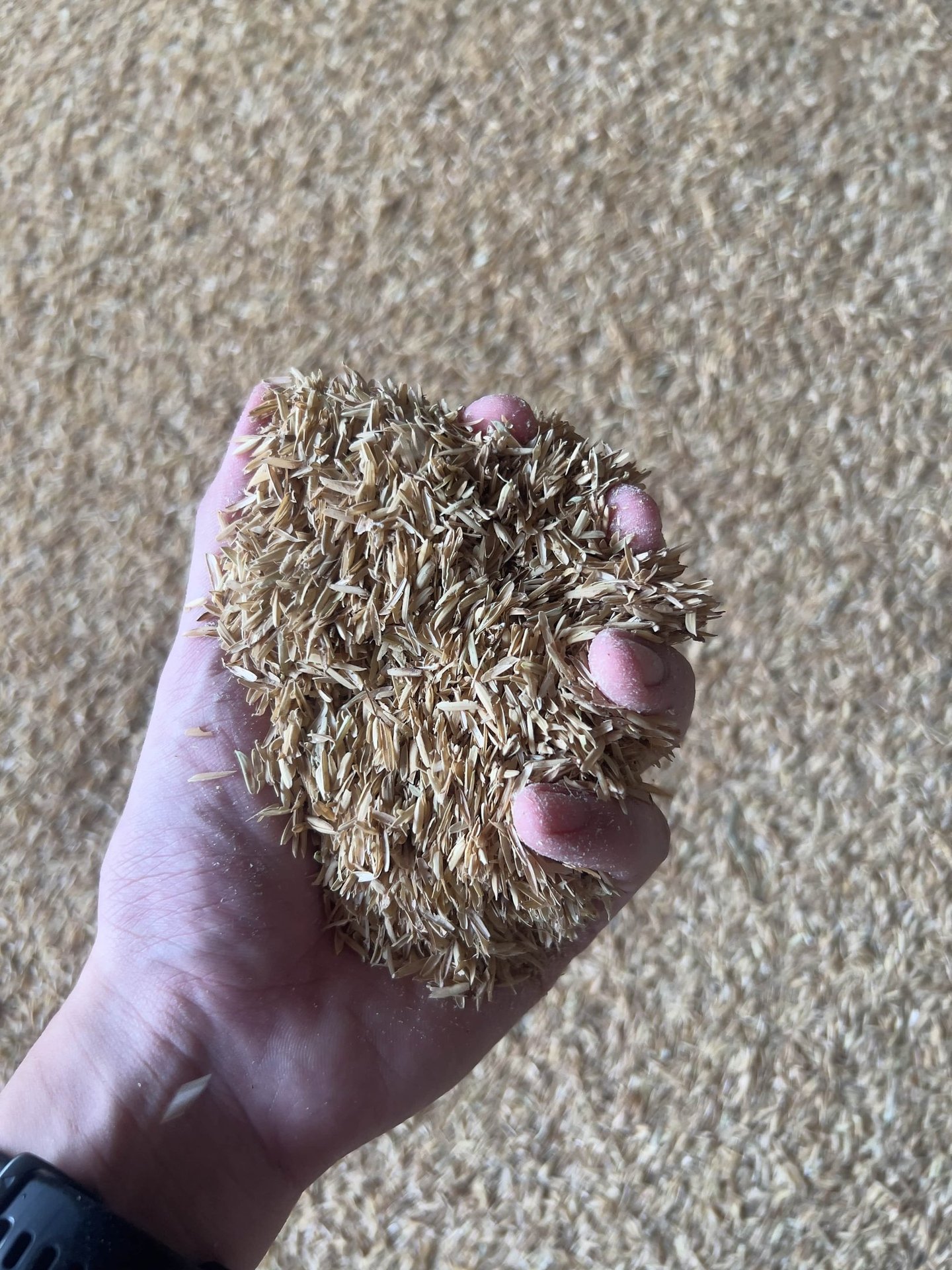 Raw rice husk sample for specification review