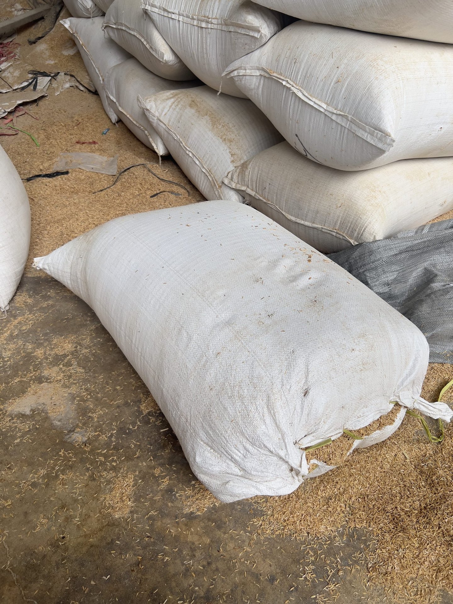 Raw rice husk packaging for bulk supply