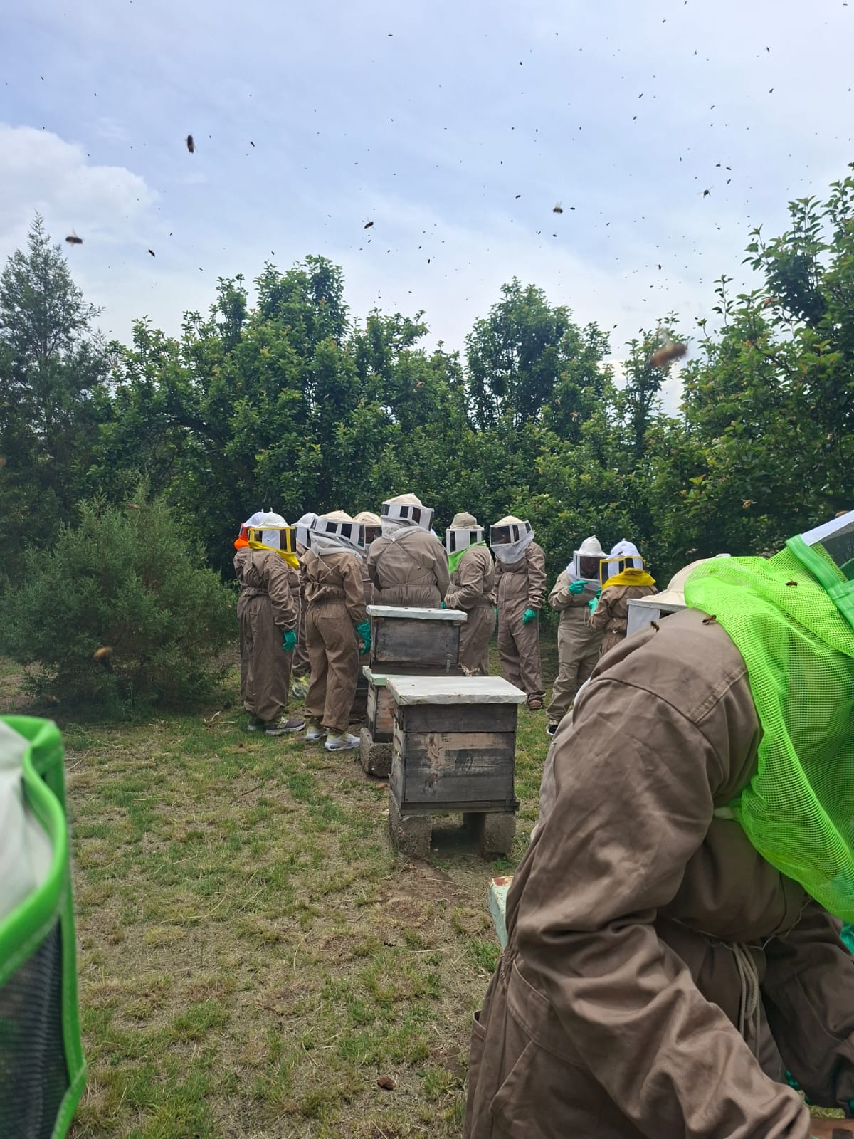 ruta de miel en tlaxcala, apicultor guia con visitante vivendo experiencia apicola