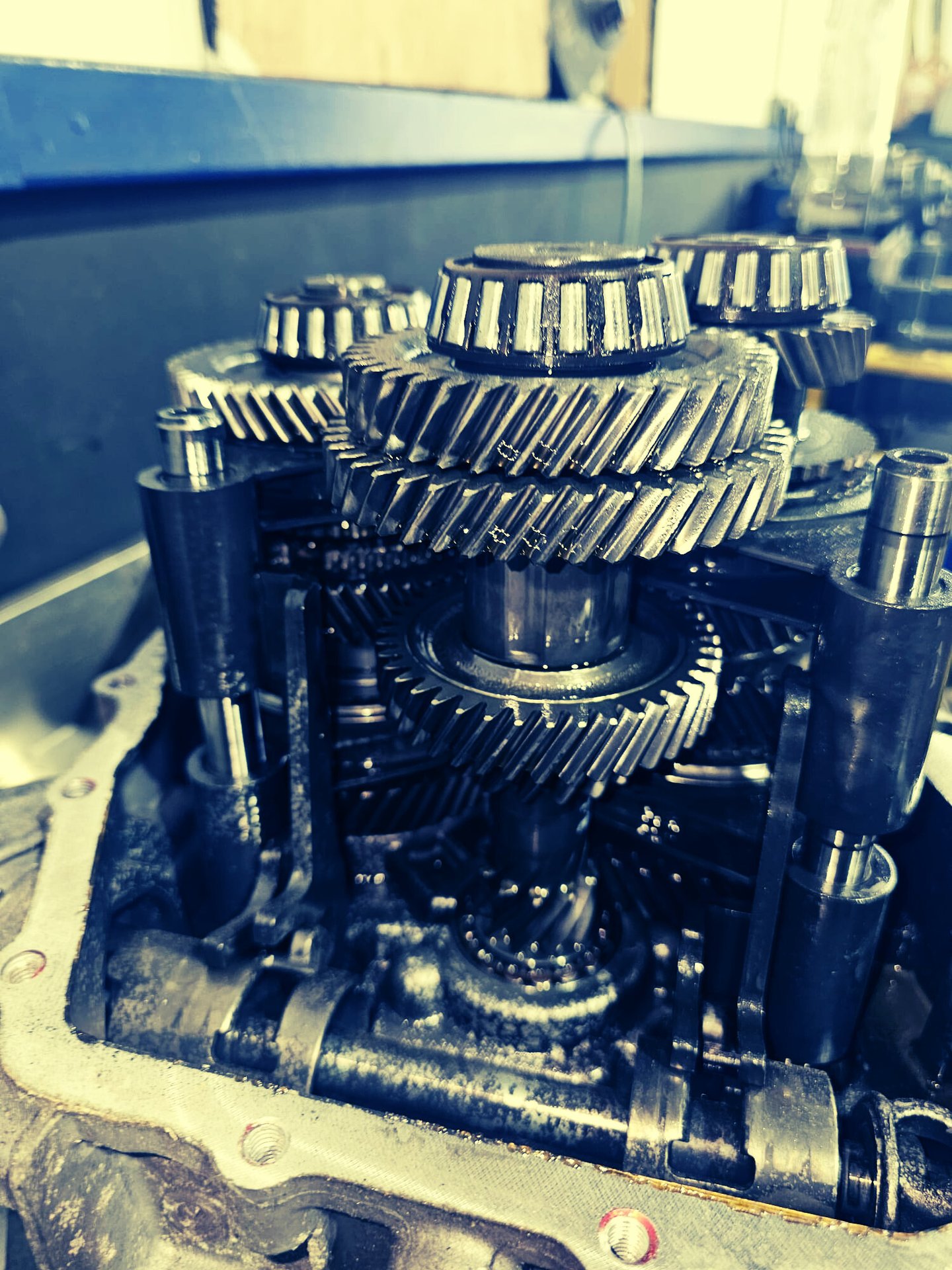 A detailed close-up of oily metal gears and planetary components inside a disassembled car transmission.
