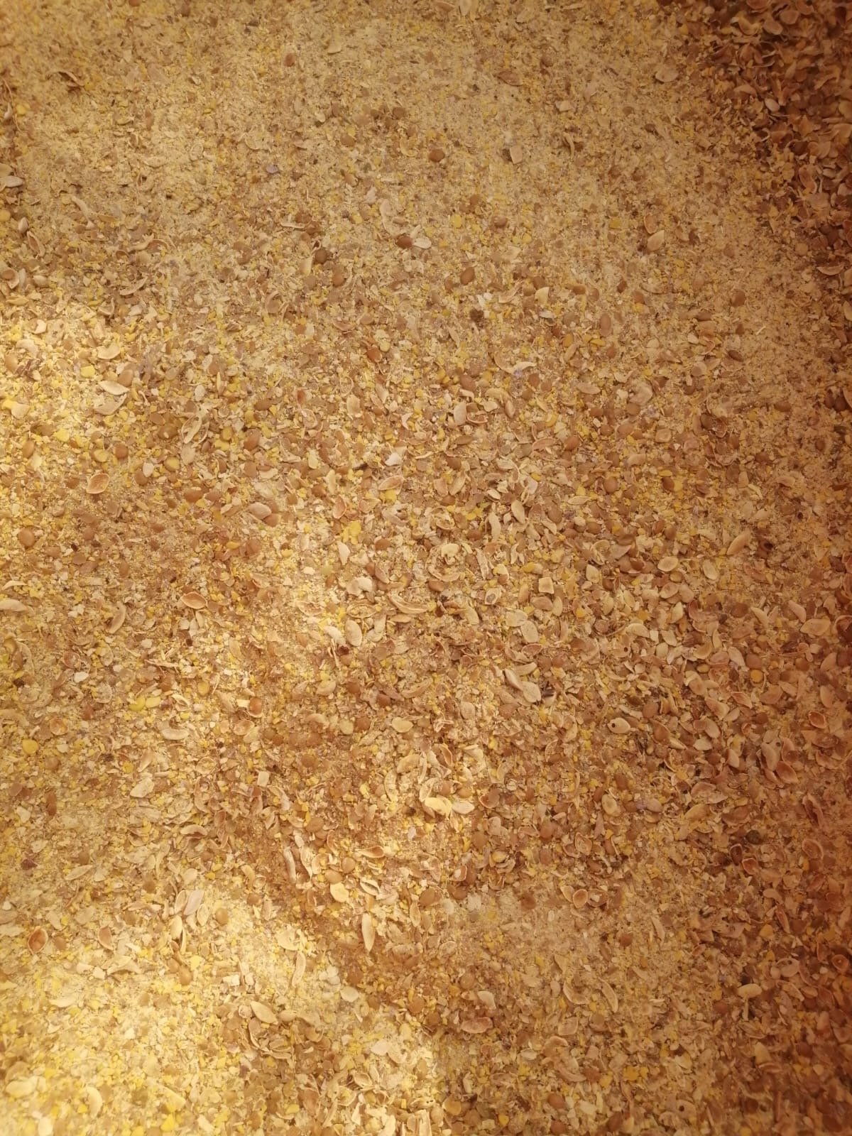 Harina de semilla extruida de mezquite