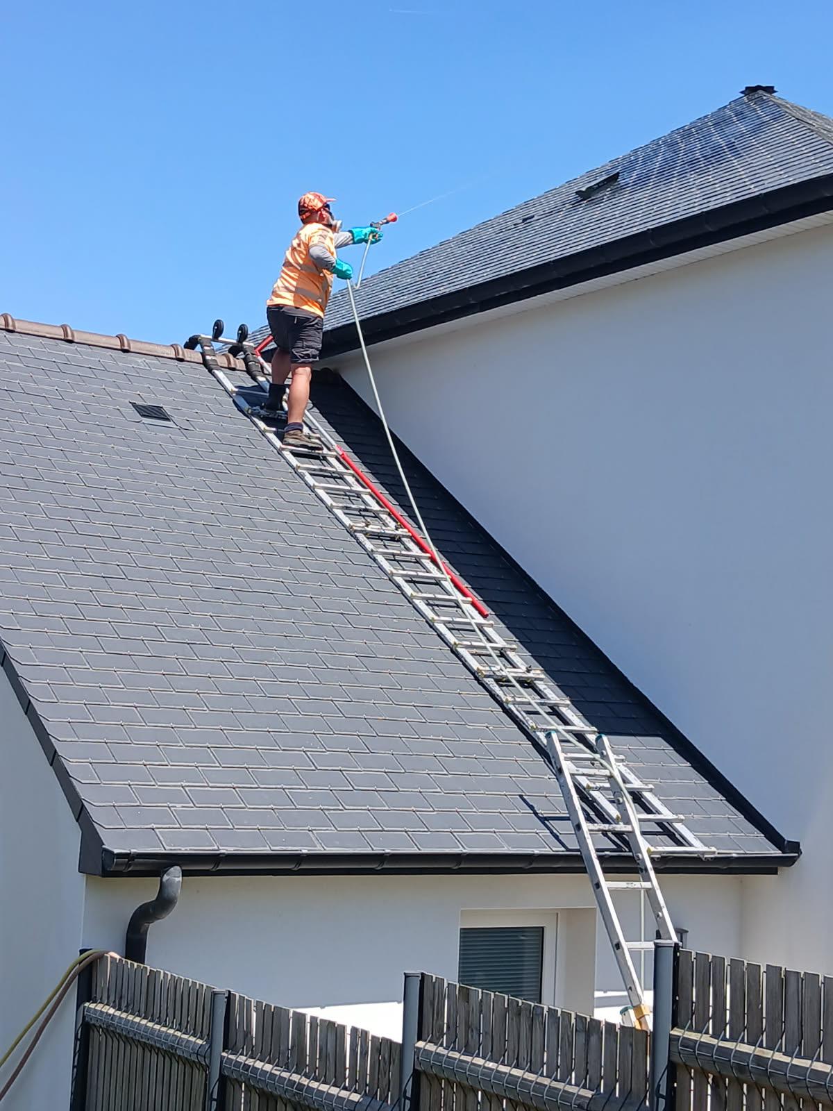 traitement antimousse toiture