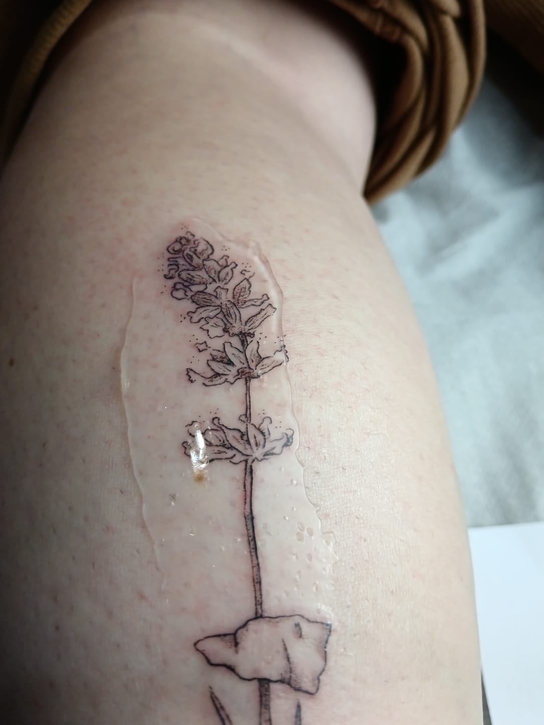 Madreselva Tattoo Studio Madrid laurasalastattoo lavander tattoo