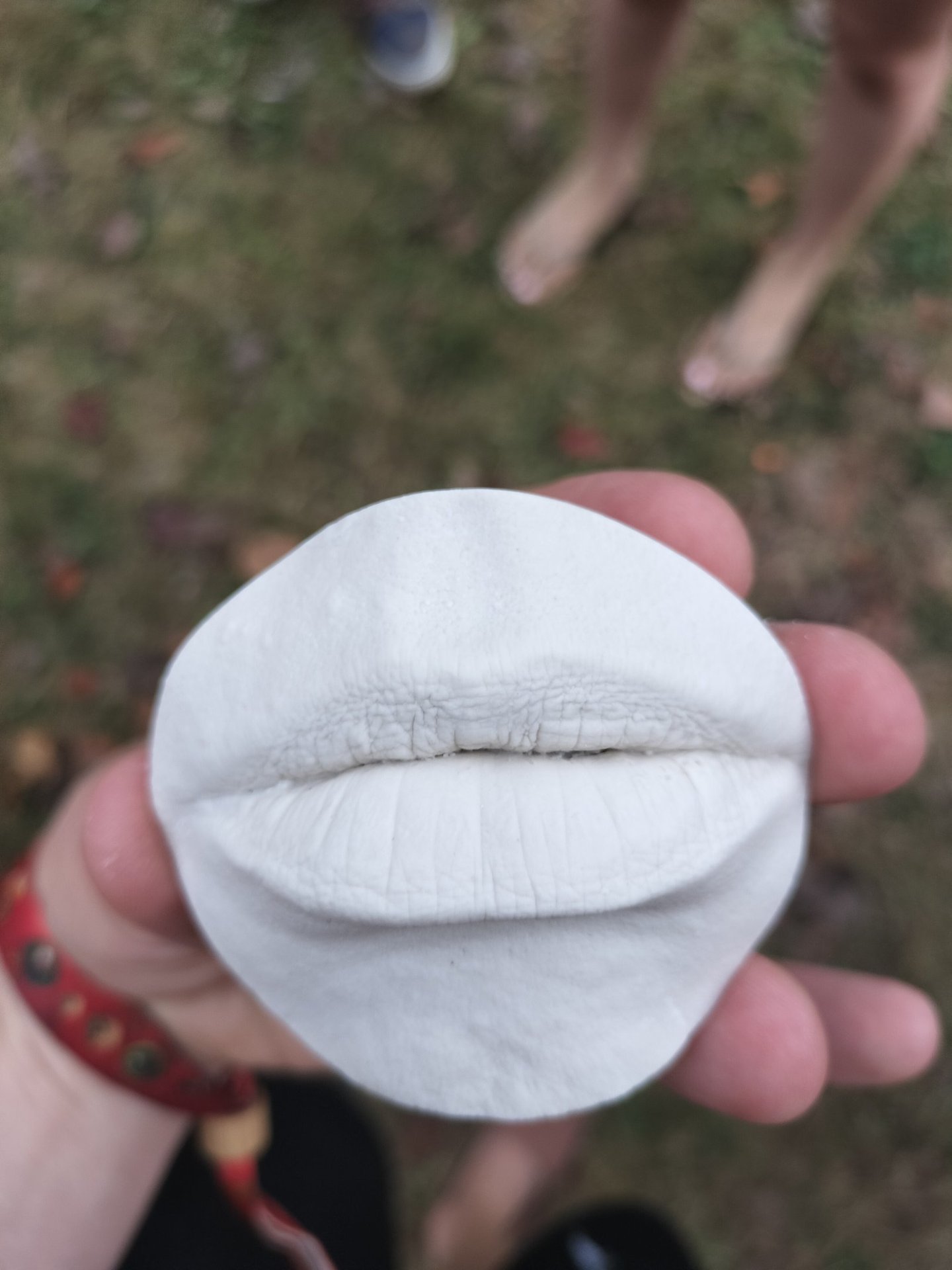 Moulage en plâtre bouche  - Moulage intime Bordeaux