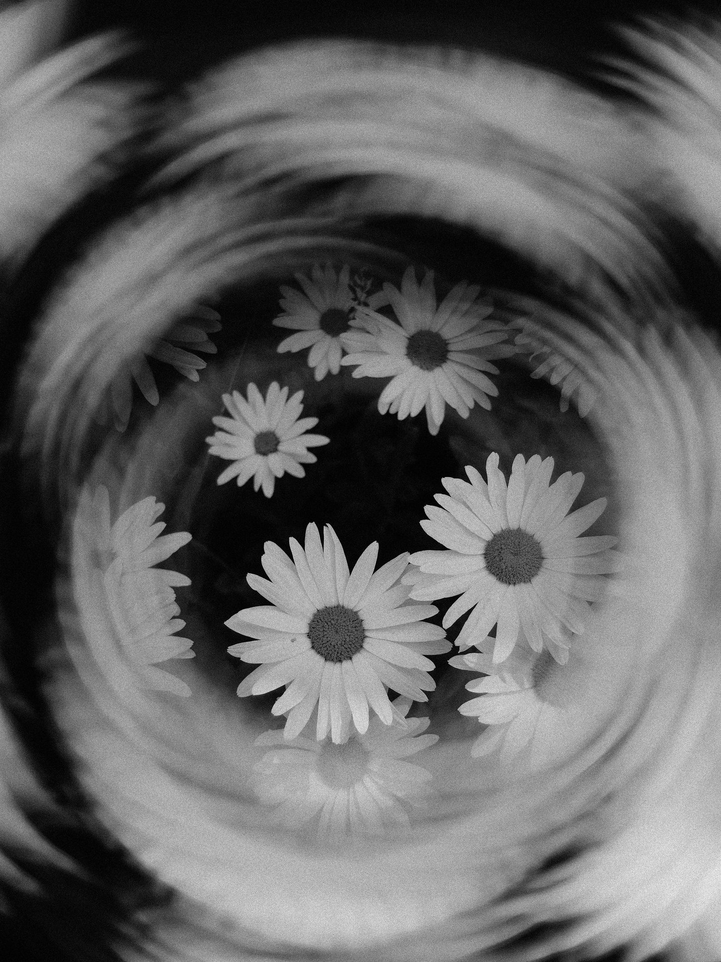 Decorative image by Lisa from Pexels