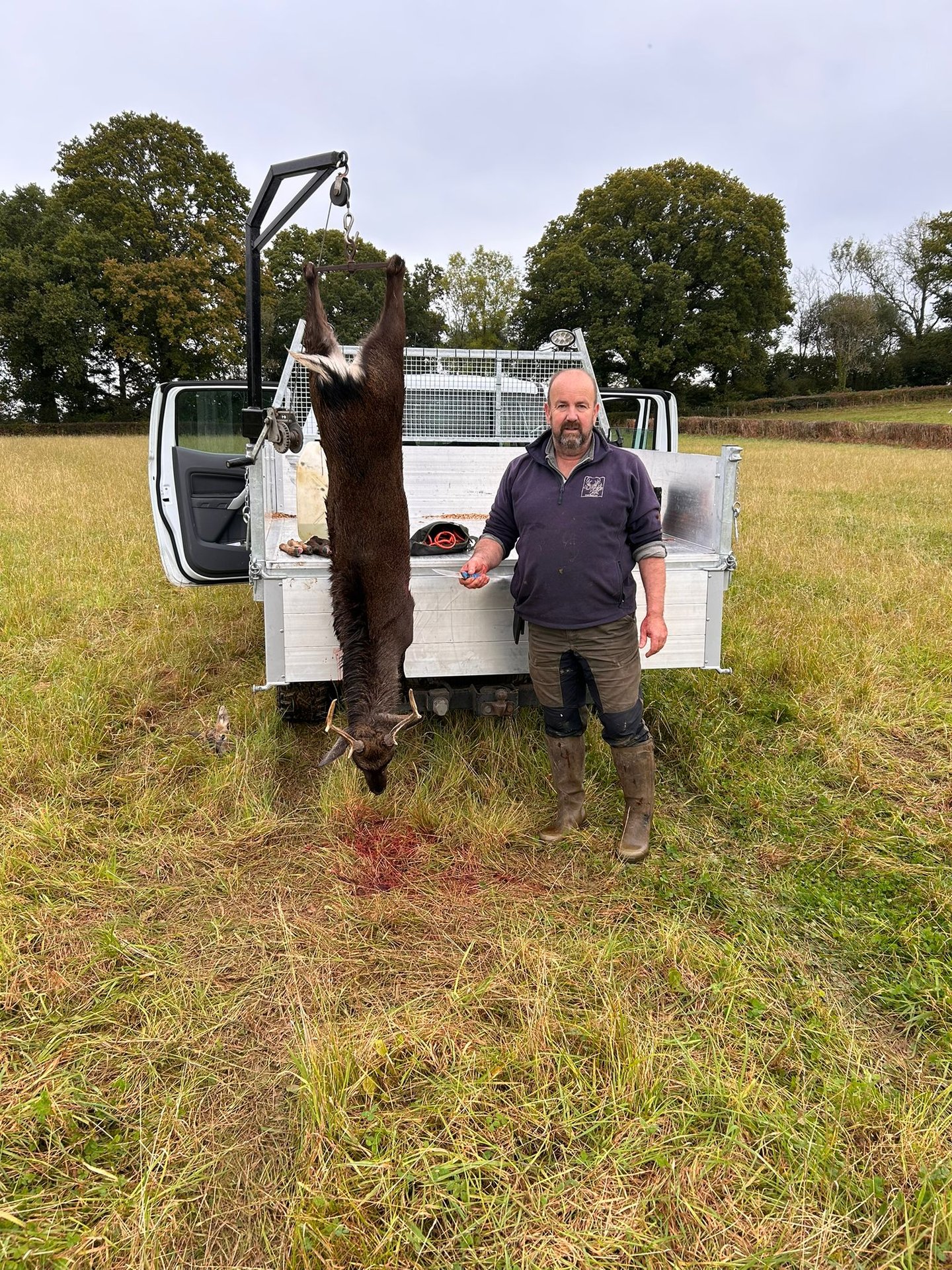 roe deer culled
