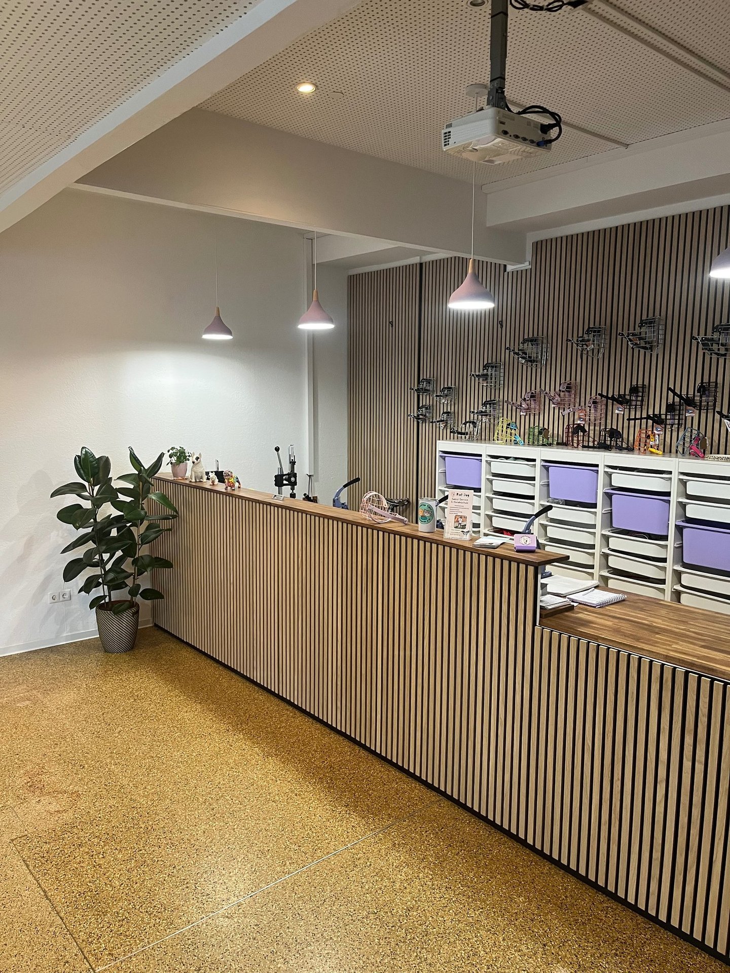 Werkbank-Tresen mit Maulkörben an der Wand, Pflanze im Vordergrund – Beratung im Retro-Stil im Maulk