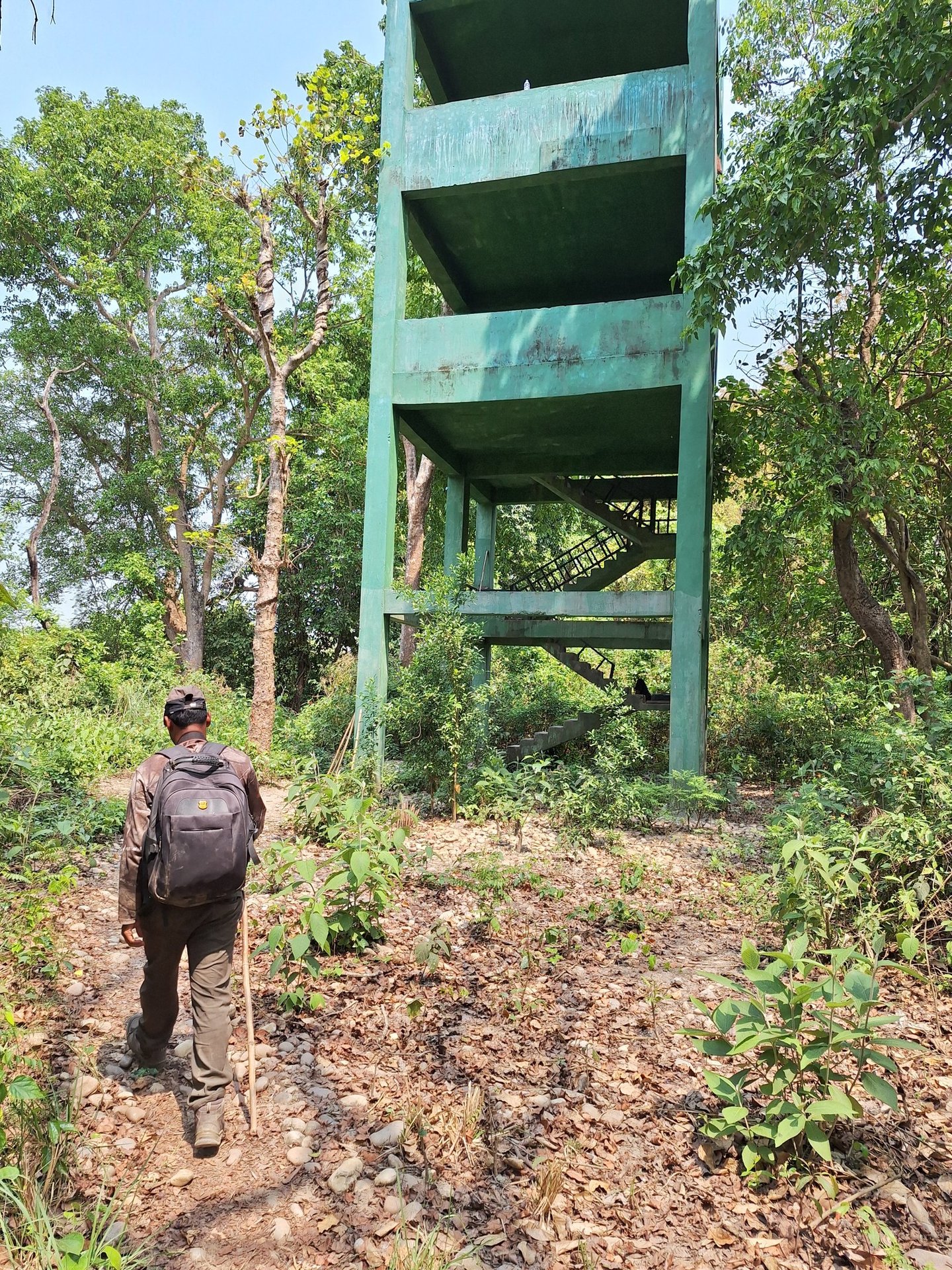 Daman near observation tour in Bardiya