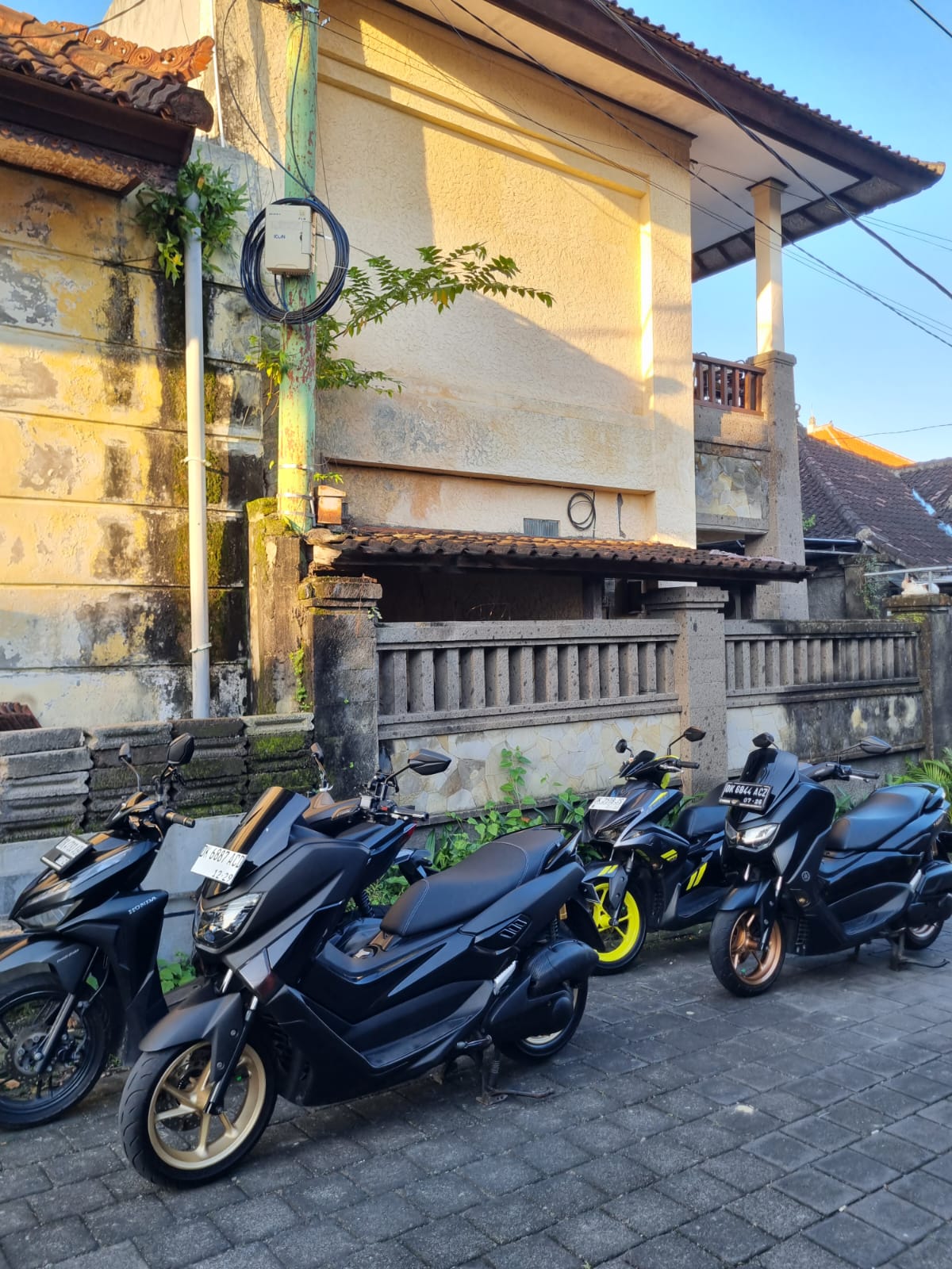 Bali bike collection for rent