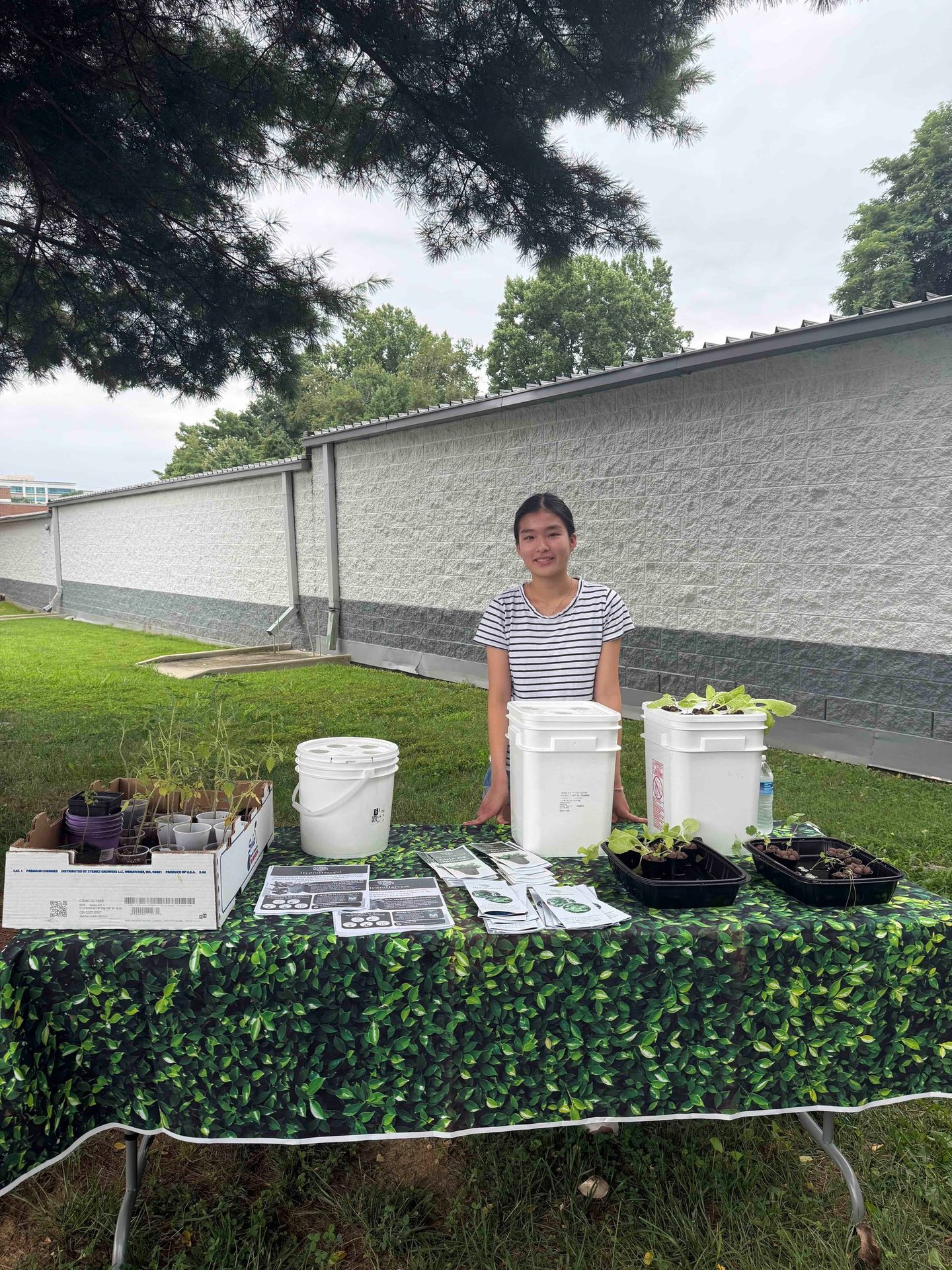 A high school student standing behind a table with hydroponic grow buckets and plant seedlings