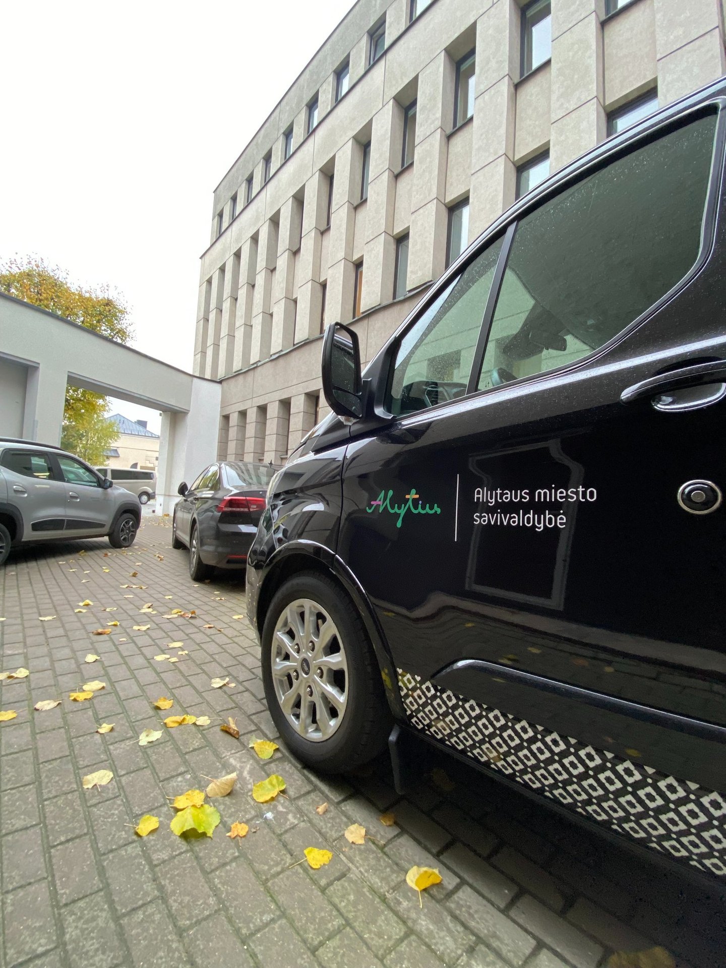 Alytaus miesto vizualinis identitetas