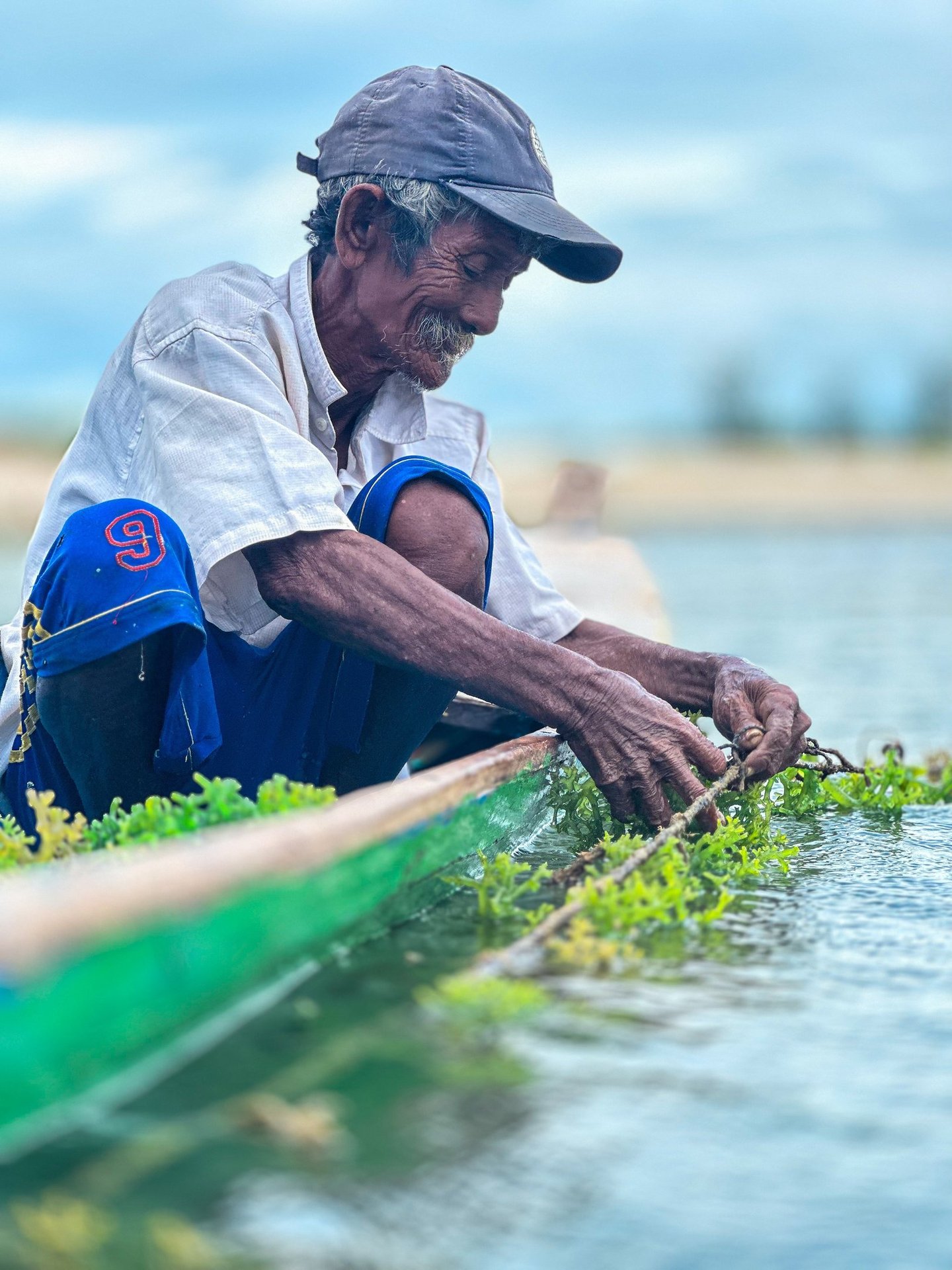 old man cleaning his seaweed farm