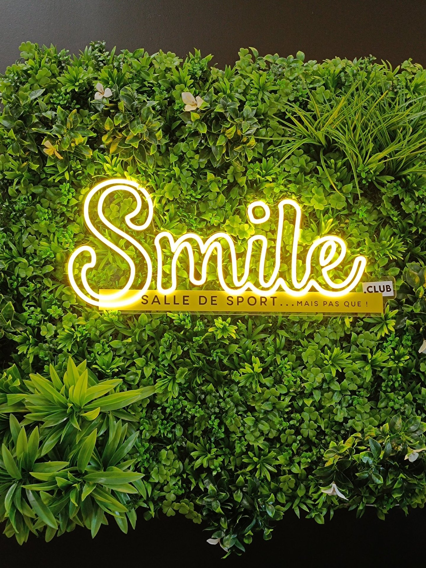 néon smile club segré flexible lumineux