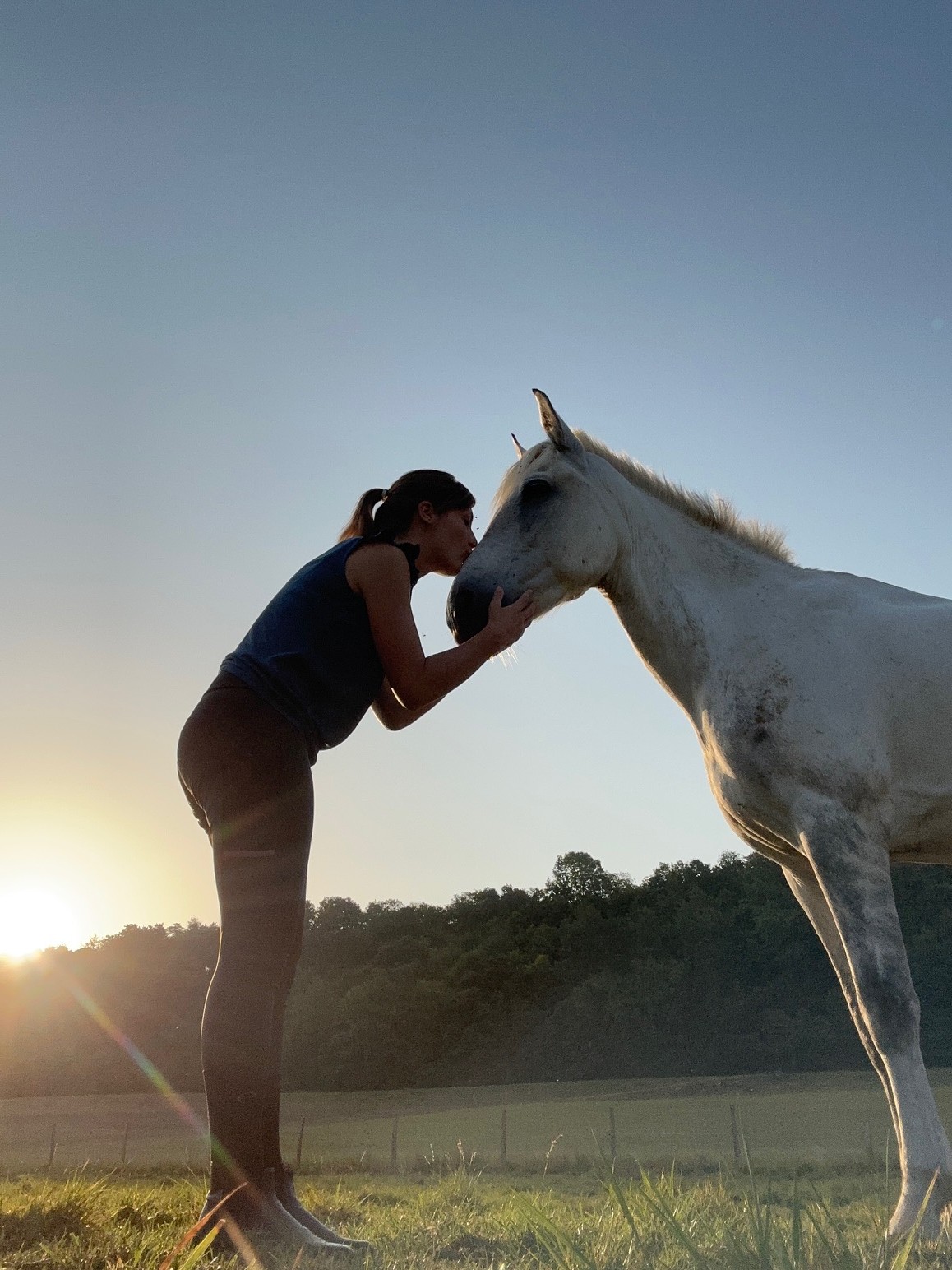 communication animale animal défunt, animal mort