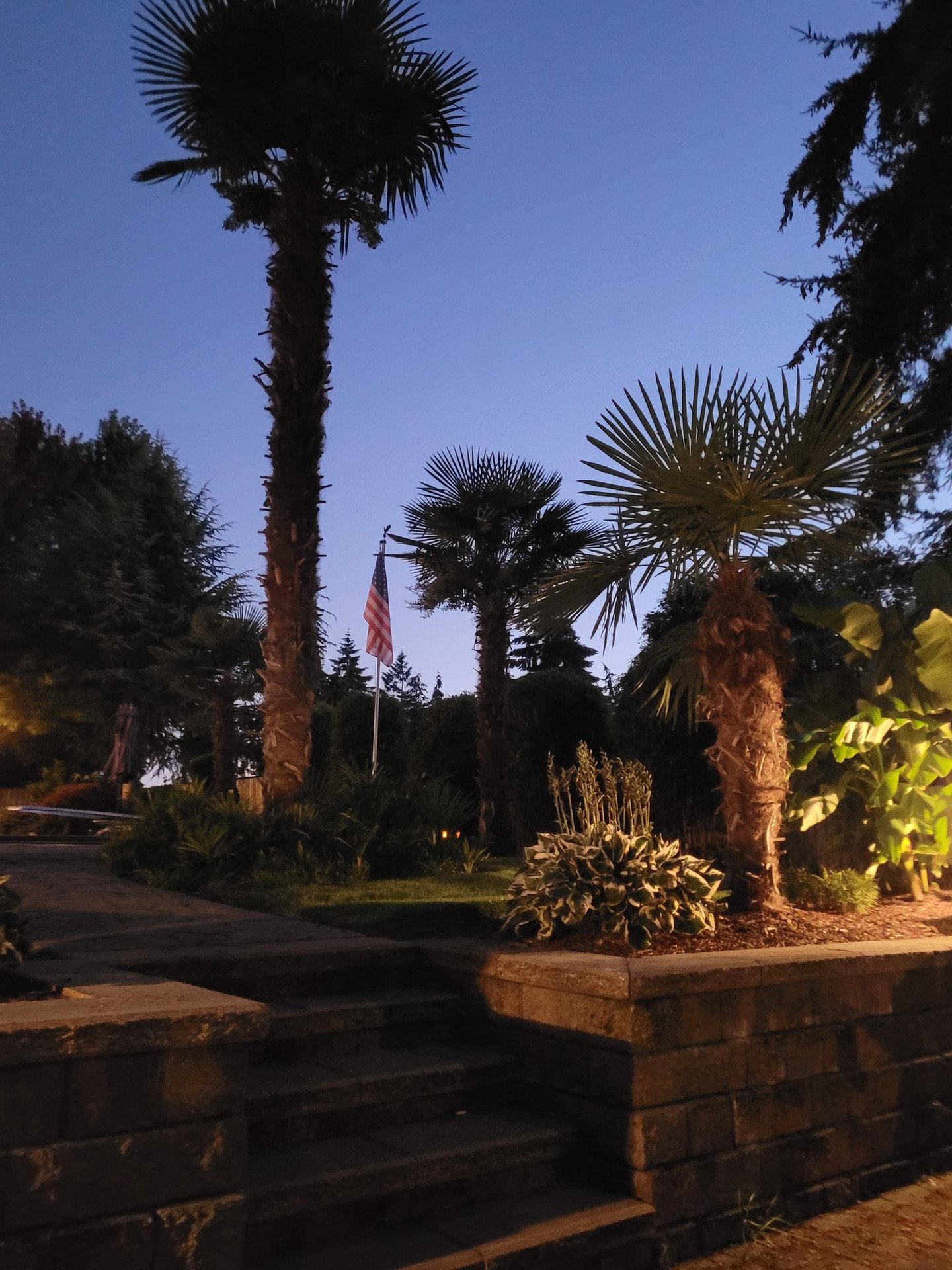 windmills in america