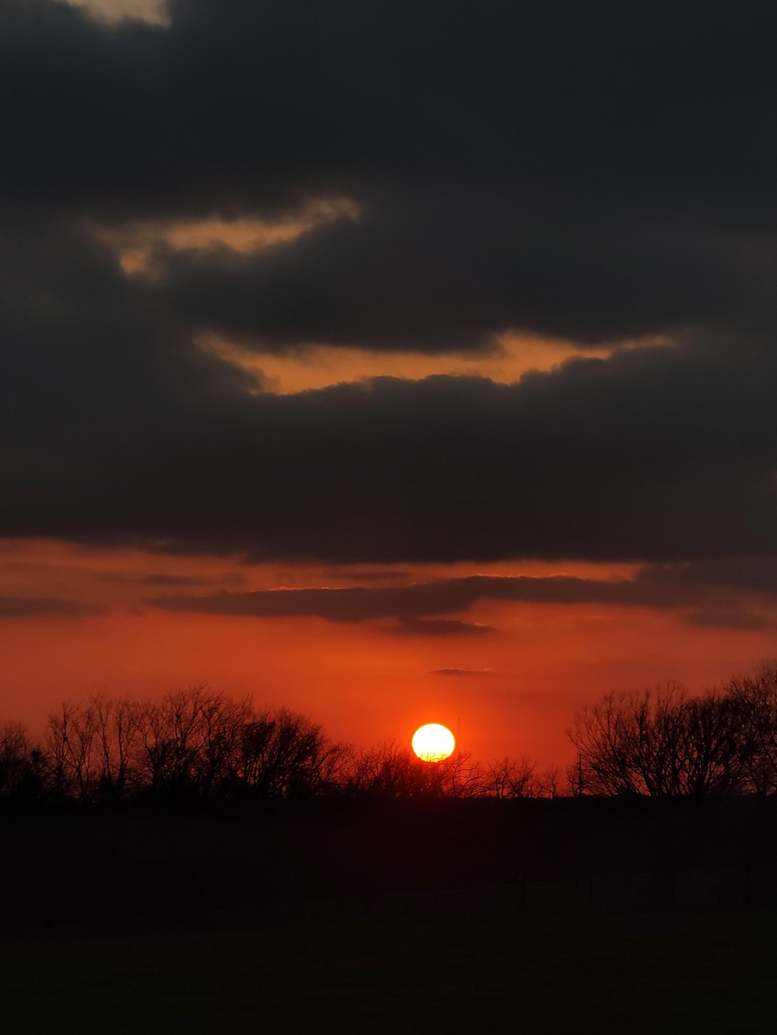 Orange glowing sunset portrait with grey clouds and tree silhouettes