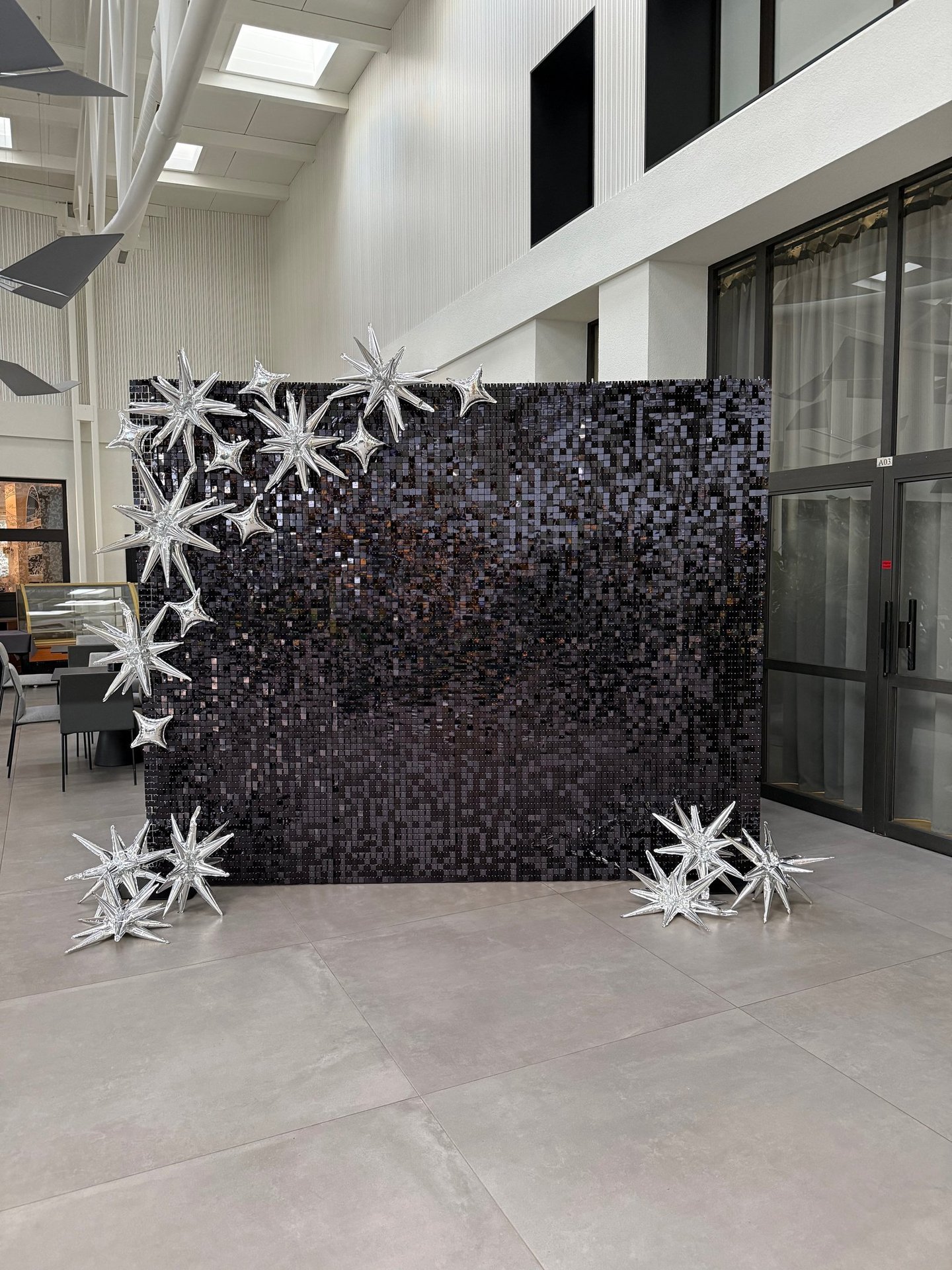 Juoda blizgi foto siena, foto siena vilnius, foto siena vilniuja, foto sieneles nuoma, foto sienele