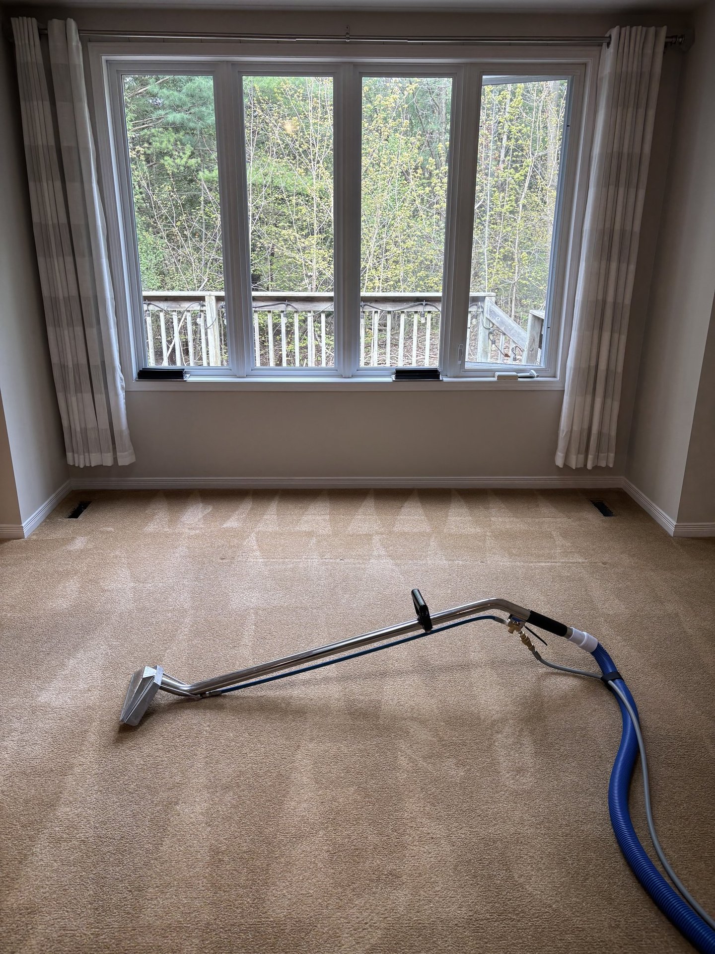 Steam carpet cleaning in progress with wand tool on freshly cleaned carpet in a bright bedroom.