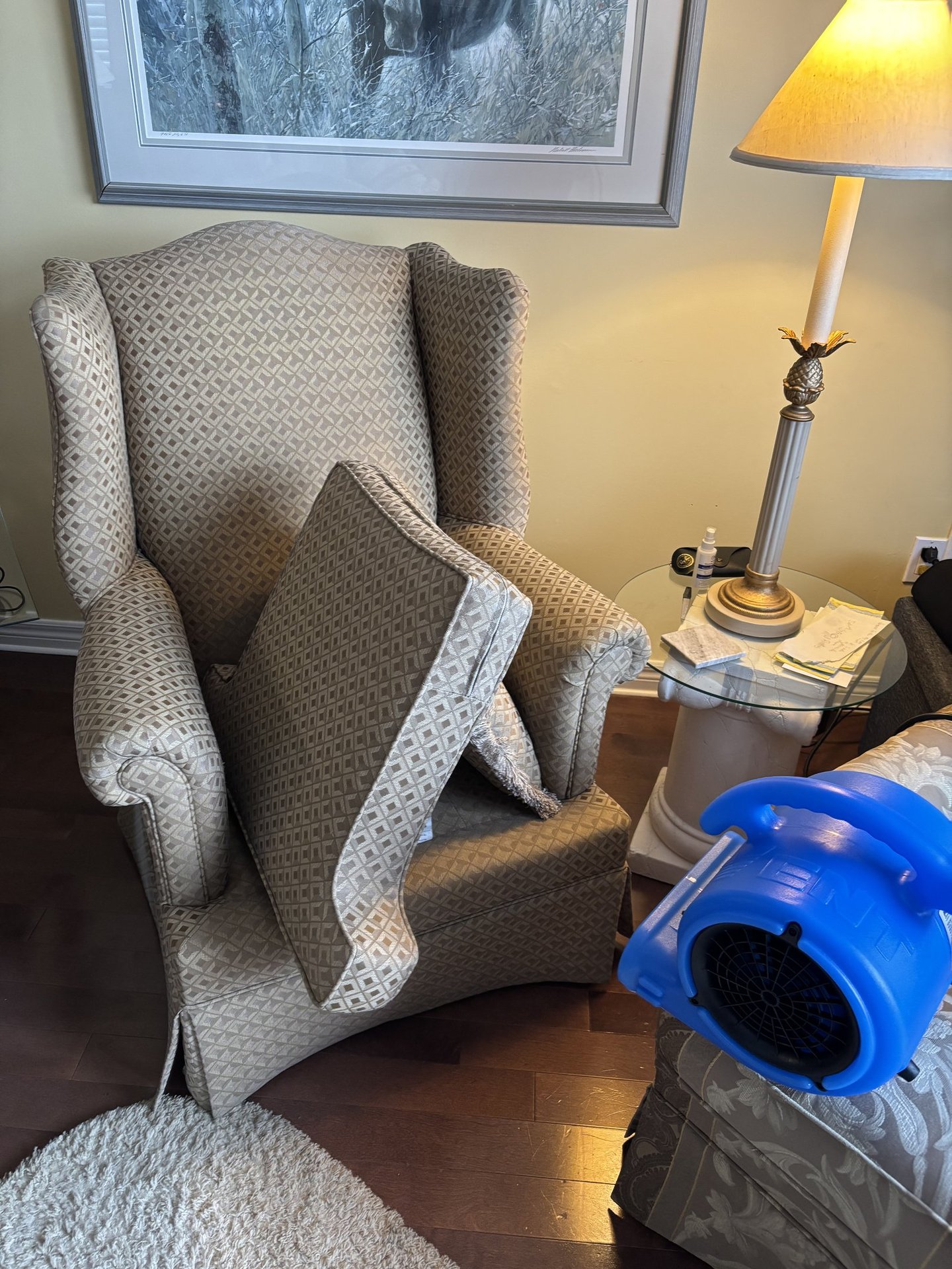 Upholstery cleaning in progress with cushions removed and air mover drying an armchair fabric surfac