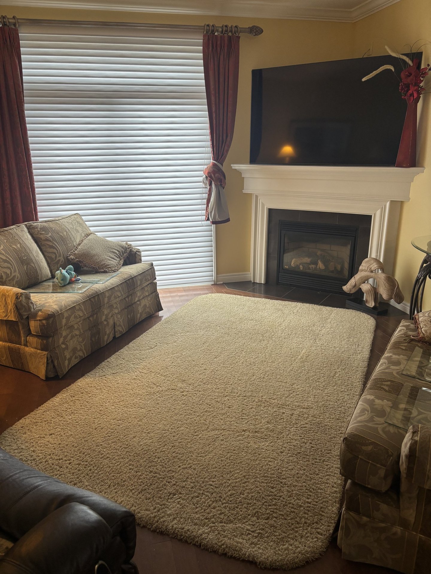 Freshly cleaned area rug in a cozy living room with fireplace, sofa, and natural light.