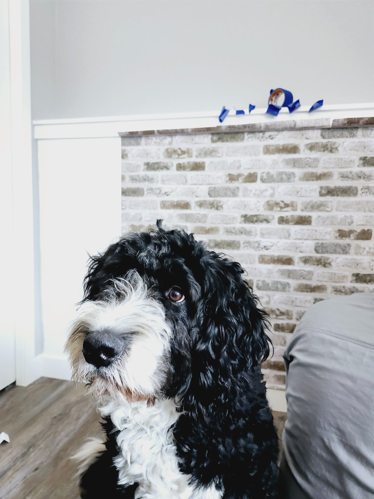 a dog standing in front of a brick wall