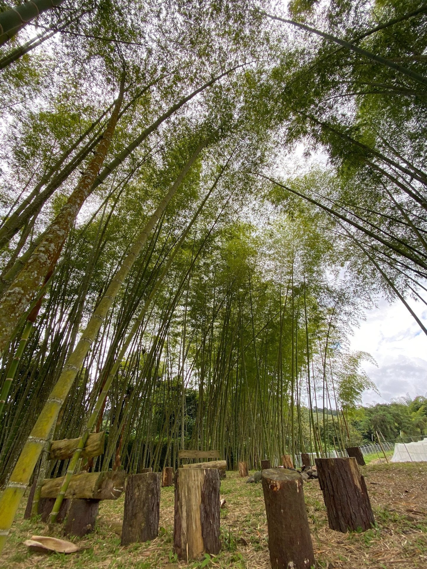 Zona de relajación, hamacas, fogatas.