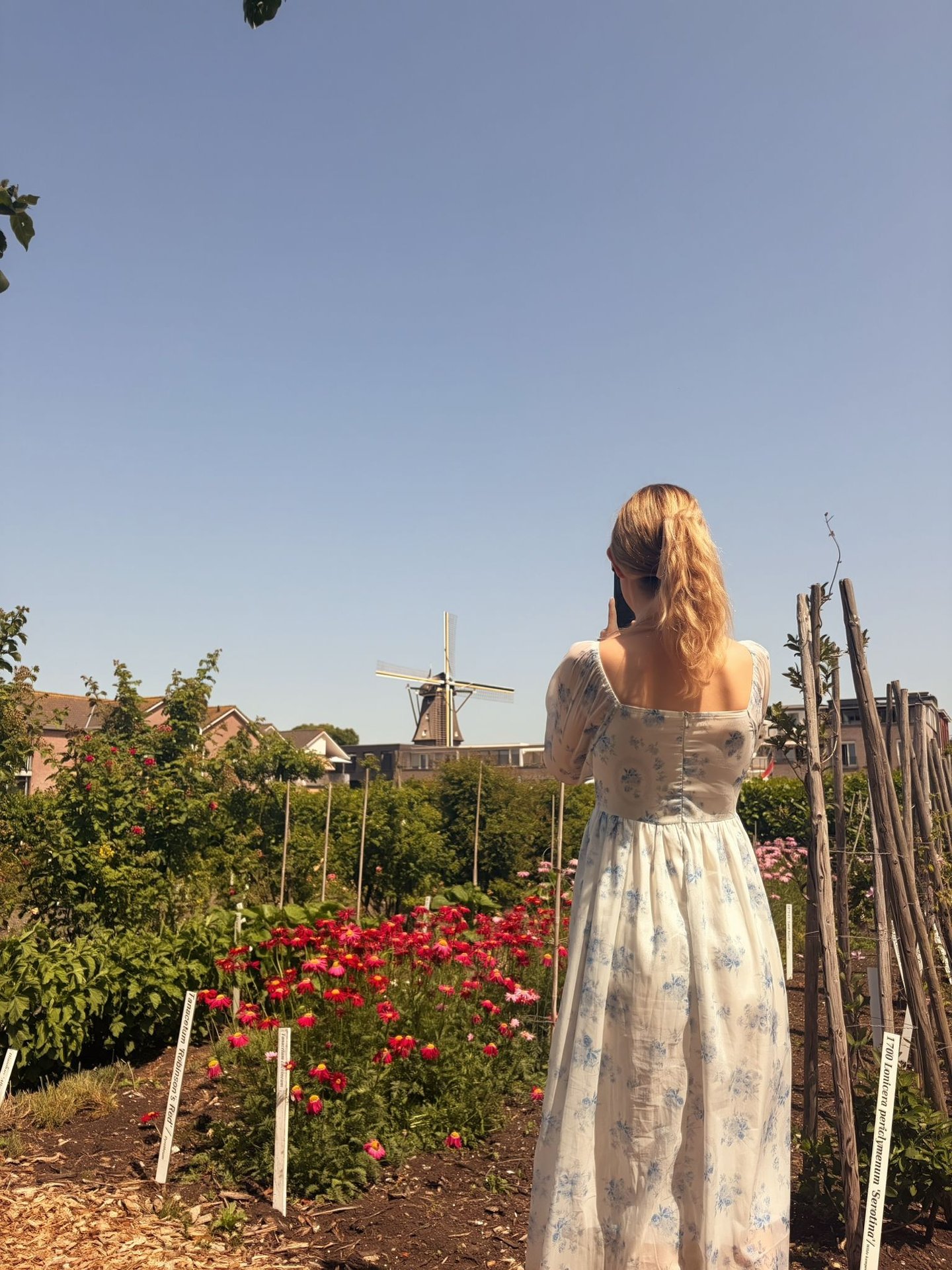Blick auf die Windmühle in Aalsmeer, Holland