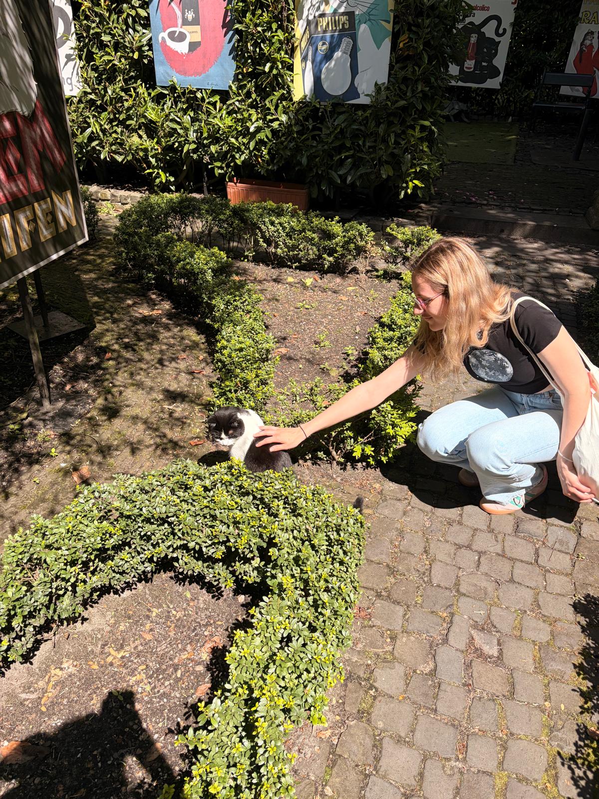 Im Katzenkabinett von Amsterdam, Holland