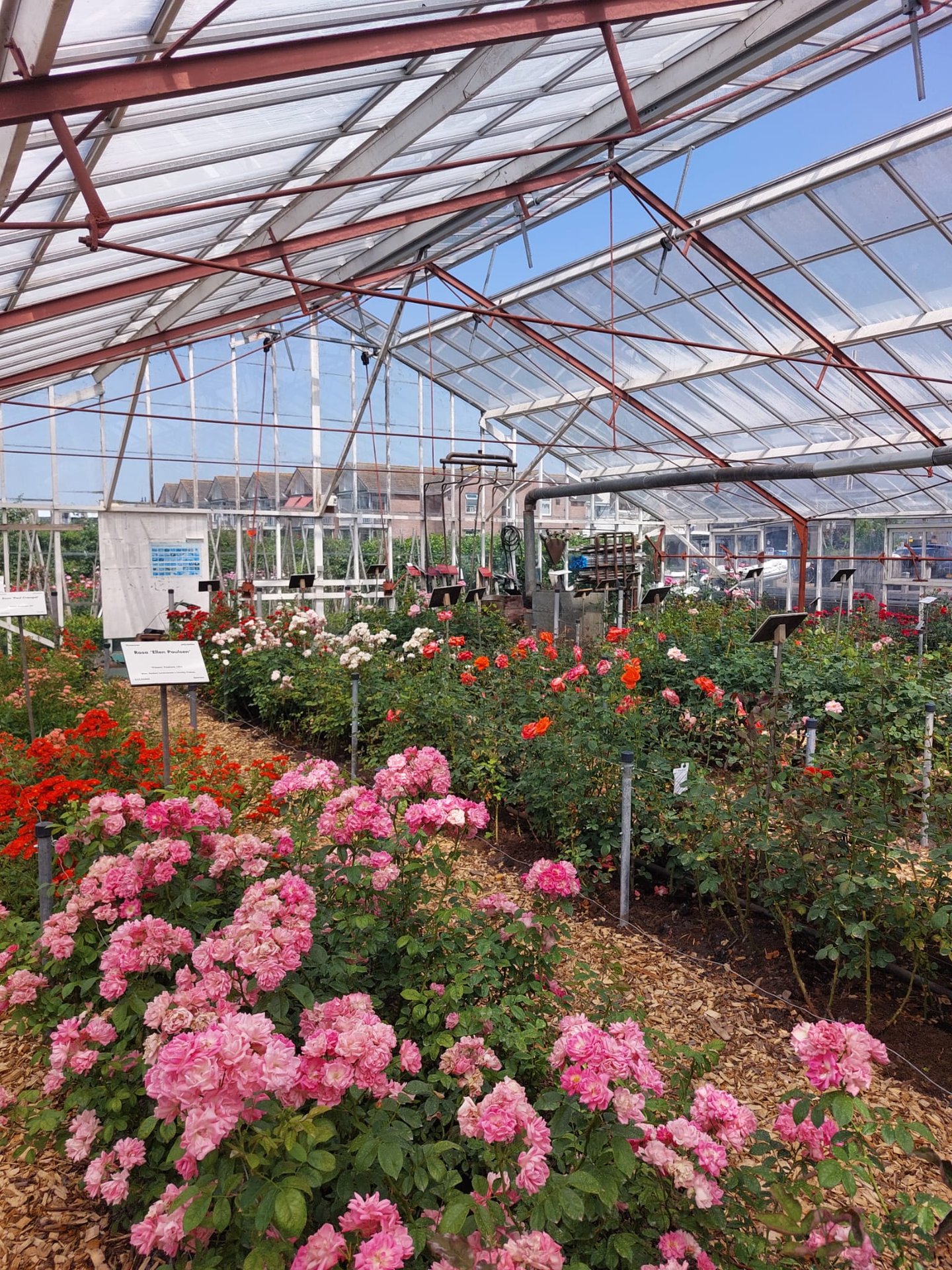 Glashaus im Historischen Gartenbaumuseum Aalsmeer