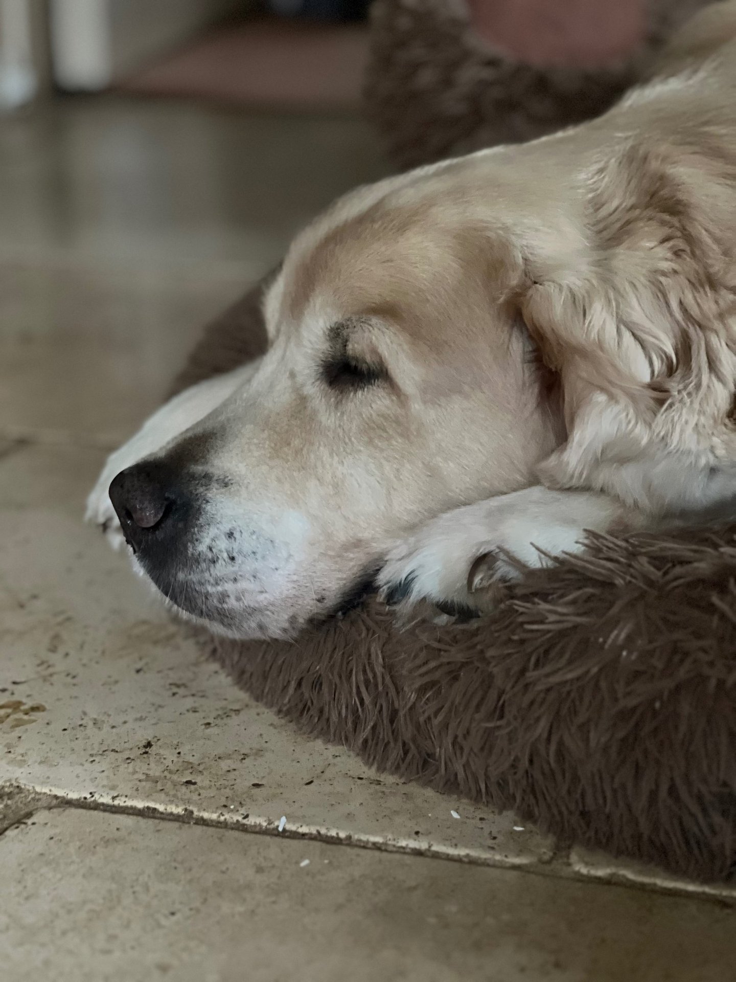 A tired guy. Hmm has he been out serenading the ladies all night again?