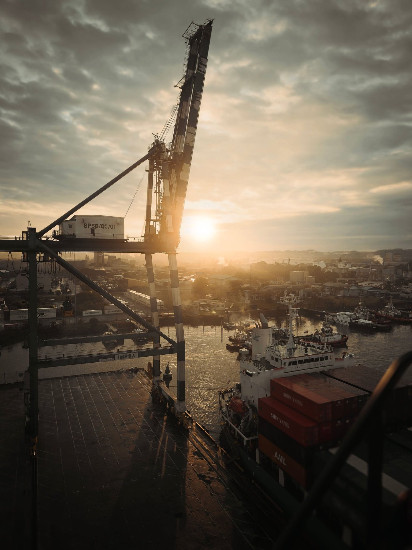 Commercial representation and international trade logistics