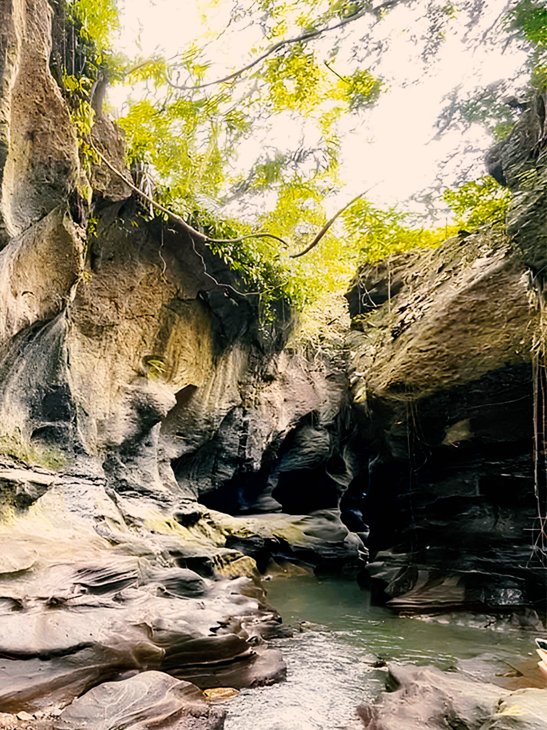 a person standing in a canyon with a dog