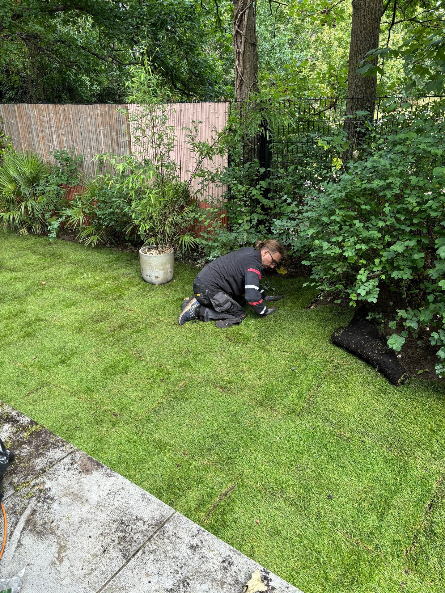Lawn turfing